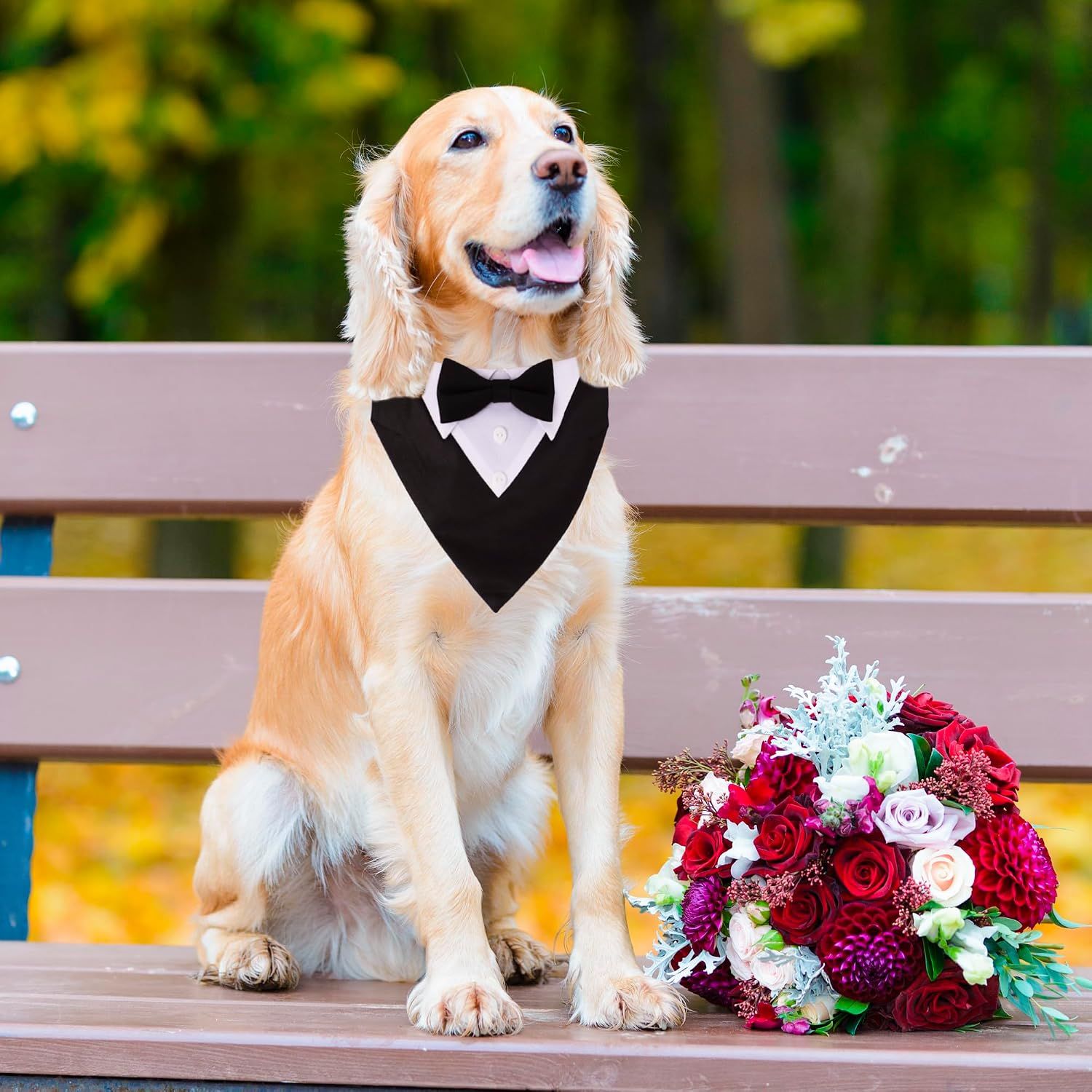 Formal Dog Tuxedo, Wedding Dog Collar with Bow Tie, Adjustable Pet Wedding view 2