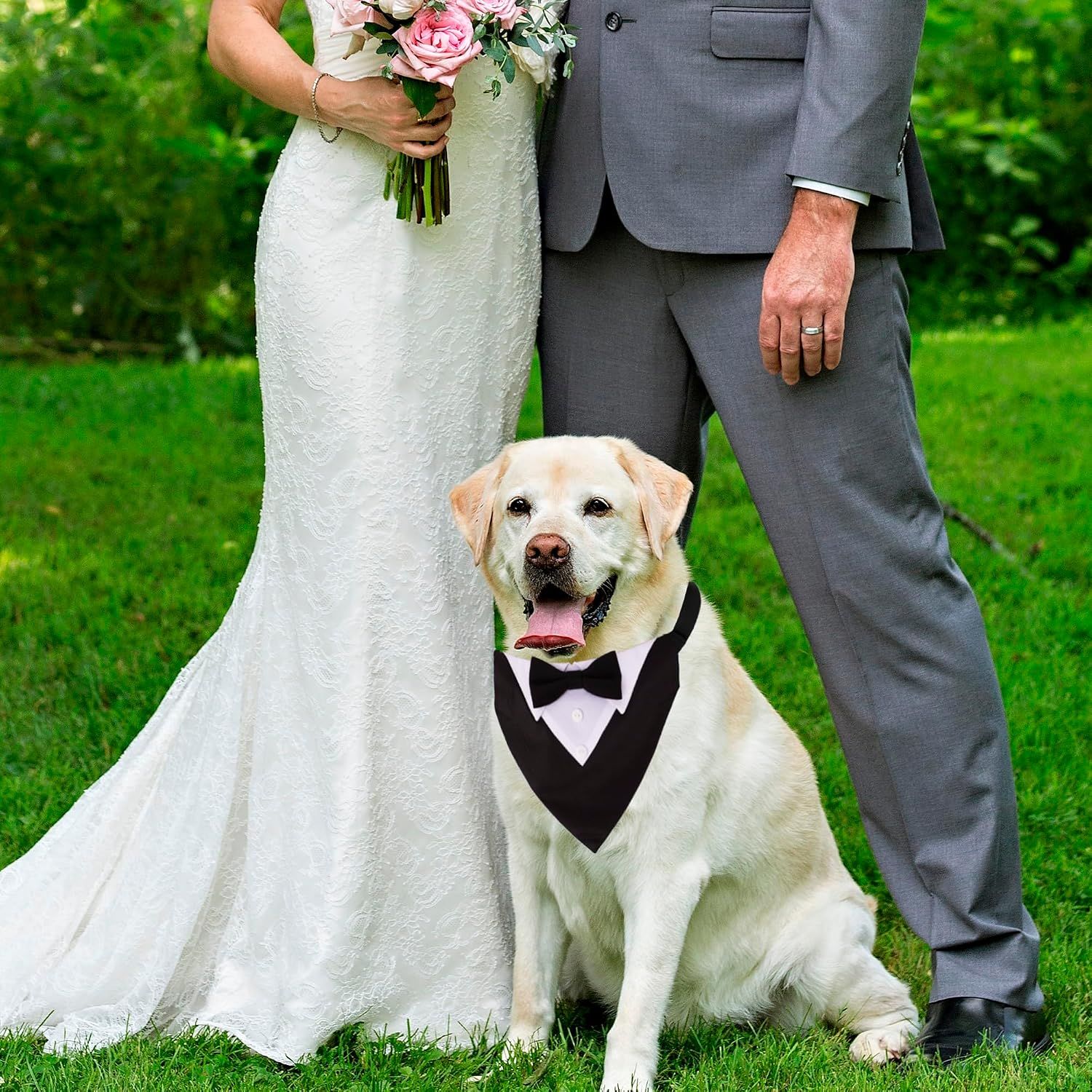 Formal Dog Tuxedo, Wedding Dog Collar with Bow Tie, Adjustable Pet Wedding view 3