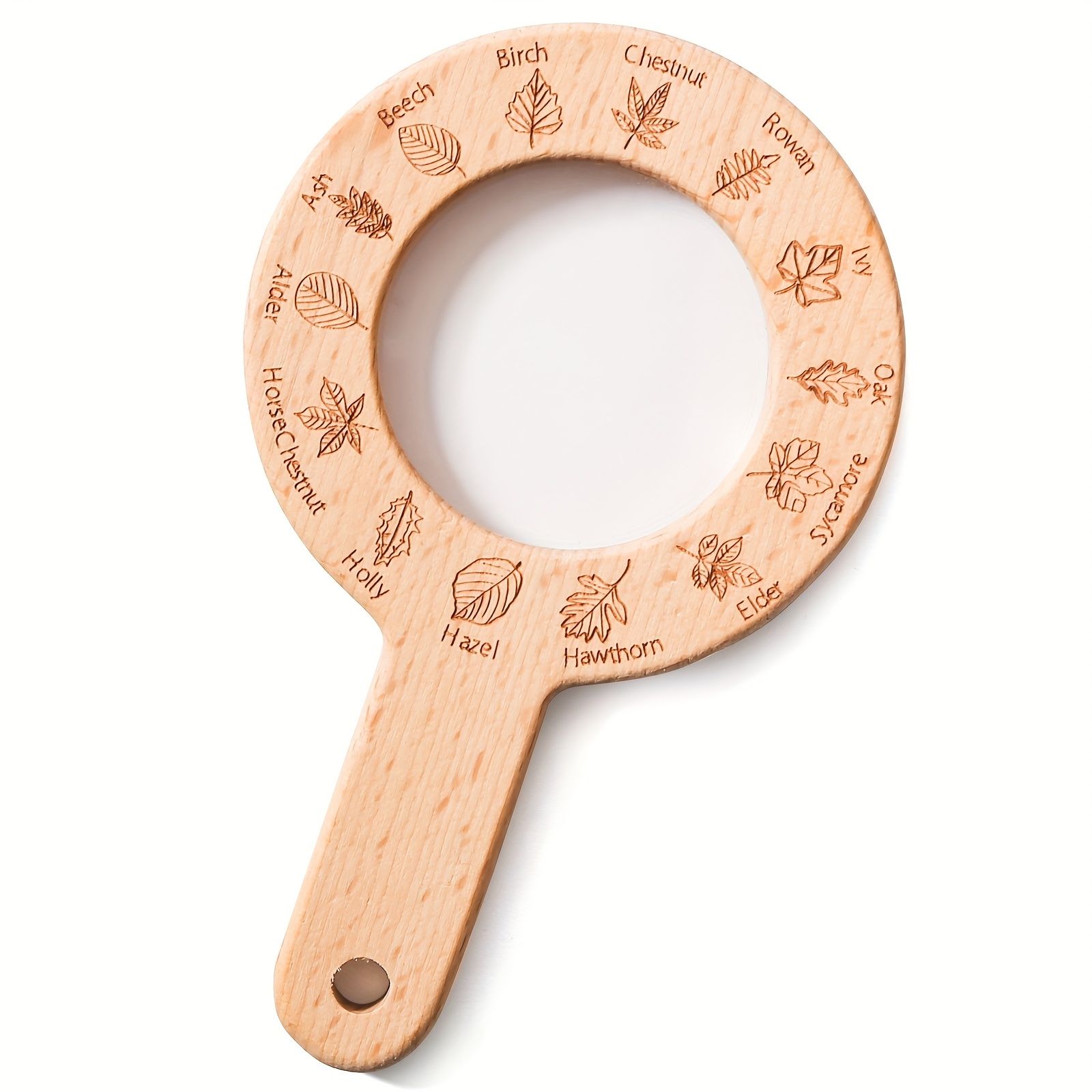 Magnifying Glass for Recognizing Insects And Leaves - Outdoor Adventure