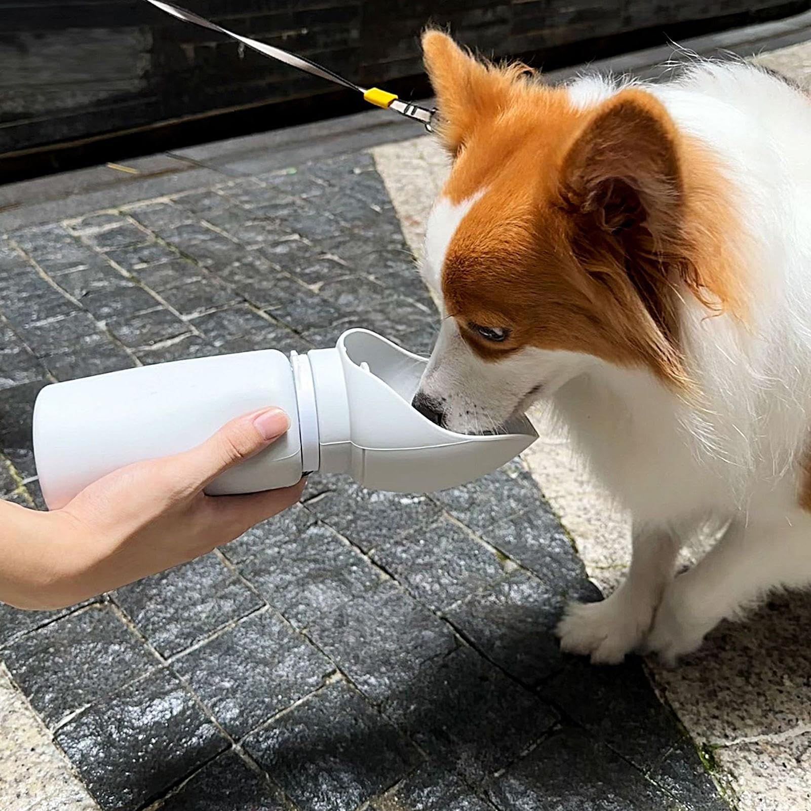 Dog Water Bottle, Portable Pet Water Dispenser, Dog Travel Drinking Feeder view 2