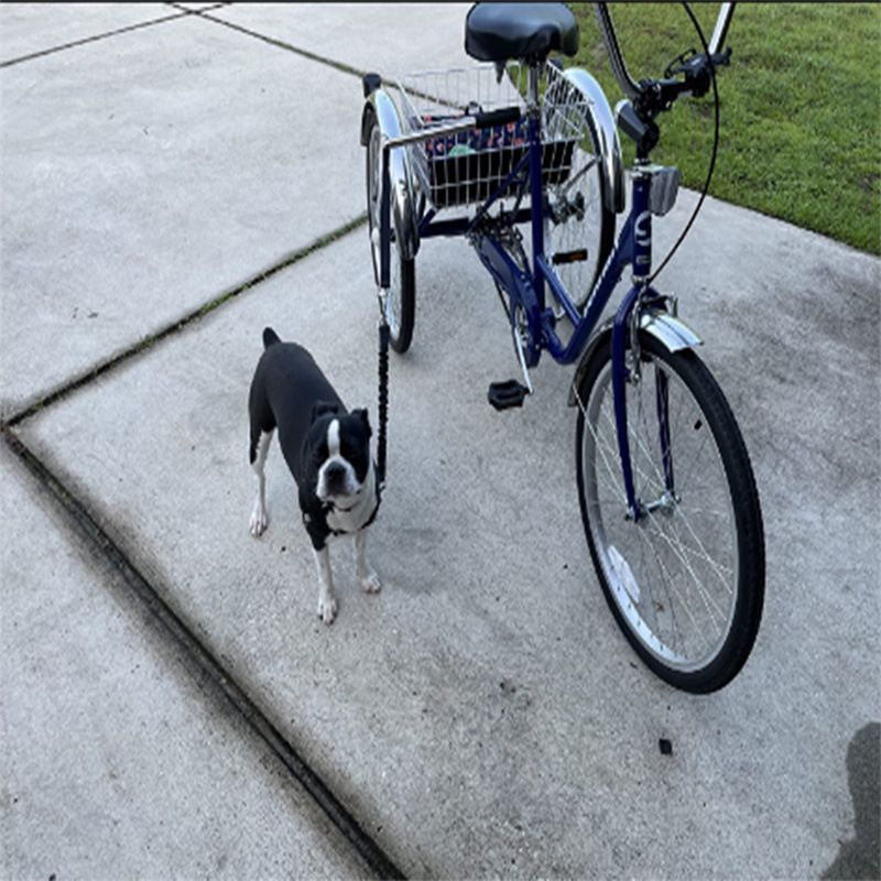 Dog Bicycle Exerciser Hands Free Bicycle Dog Mountable and detachable towing