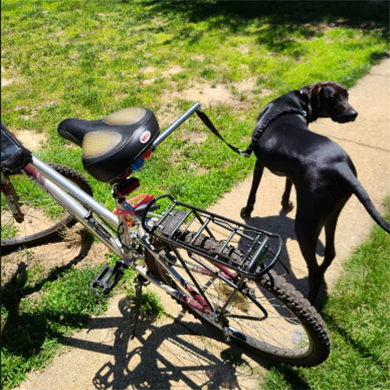 Dog Bicycle Exerciser Hands Free Bicycle Dog Mountable and detachable towing view 2