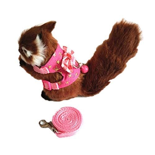Vest and Leash Set with Bowknot and Bell Decor for Gerbil Squirrel Kitten view 3