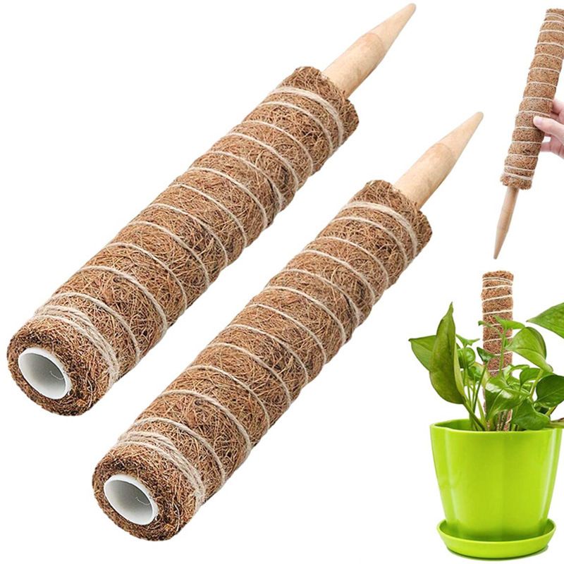 Moss Pole for Plants Extendable Plant Sticks Support — image 1