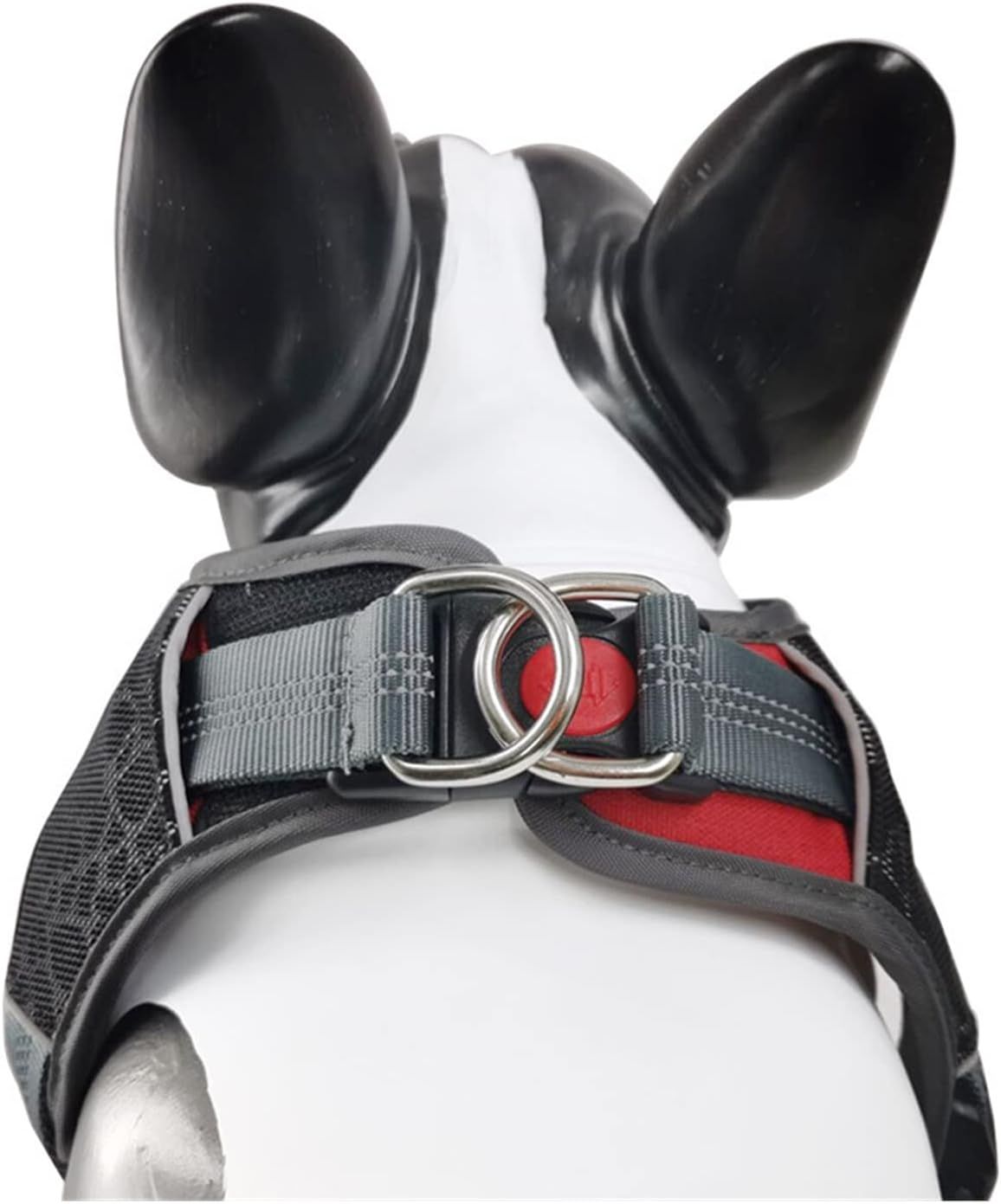 Pet Chest Straps Summer Vest Dog Strap Traction Rope Walk Dog Reflective view 4