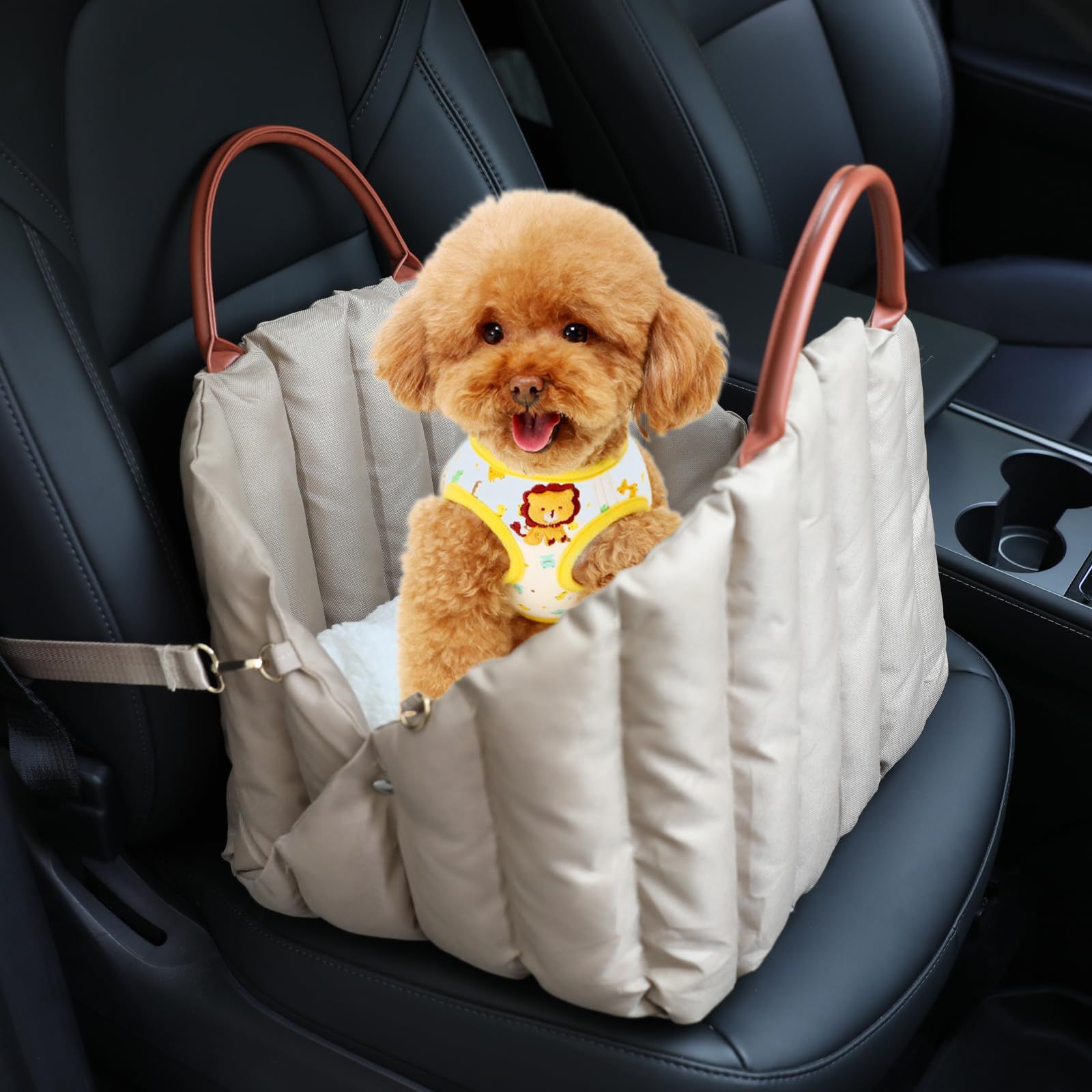 Dog Car Seat for Small & Medium Dogs
