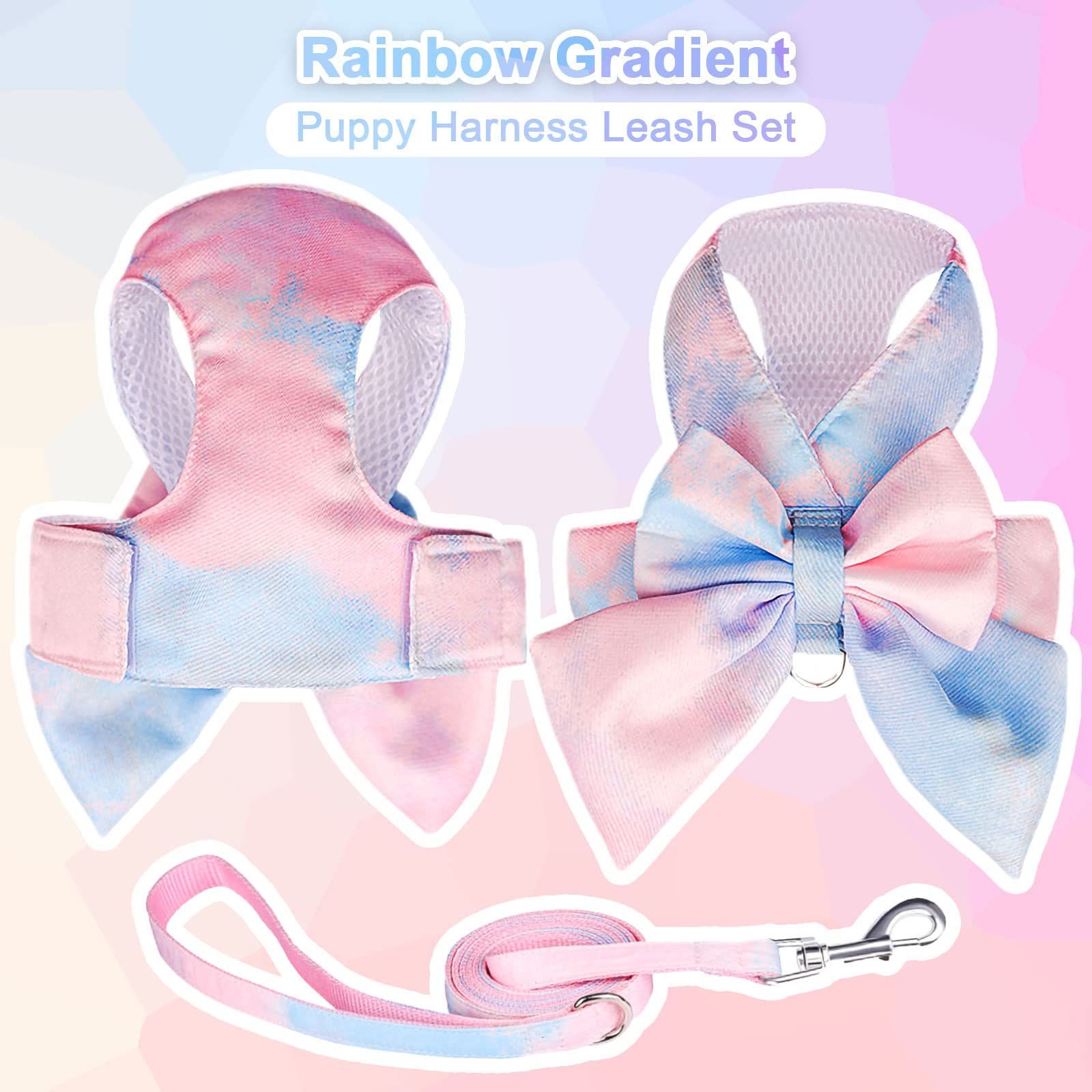 Cute Bow Tie Dog Harness and Leash Set Elegant Rainbow Gradient Puppy Harness view 2