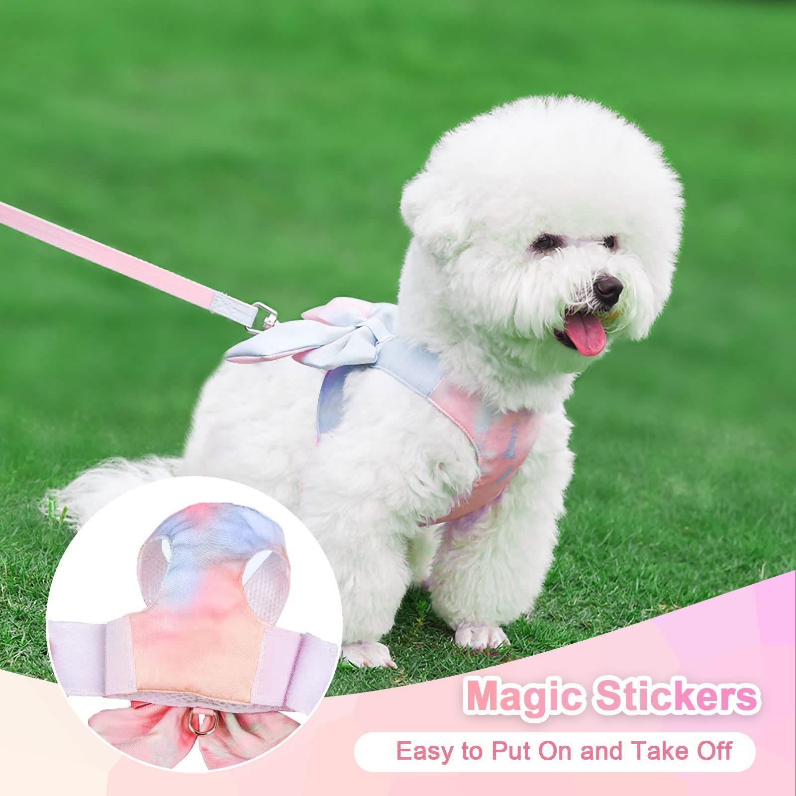 Cute Bow Tie Dog Harness and Leash Set Elegant Rainbow Gradient Puppy Harness view 3