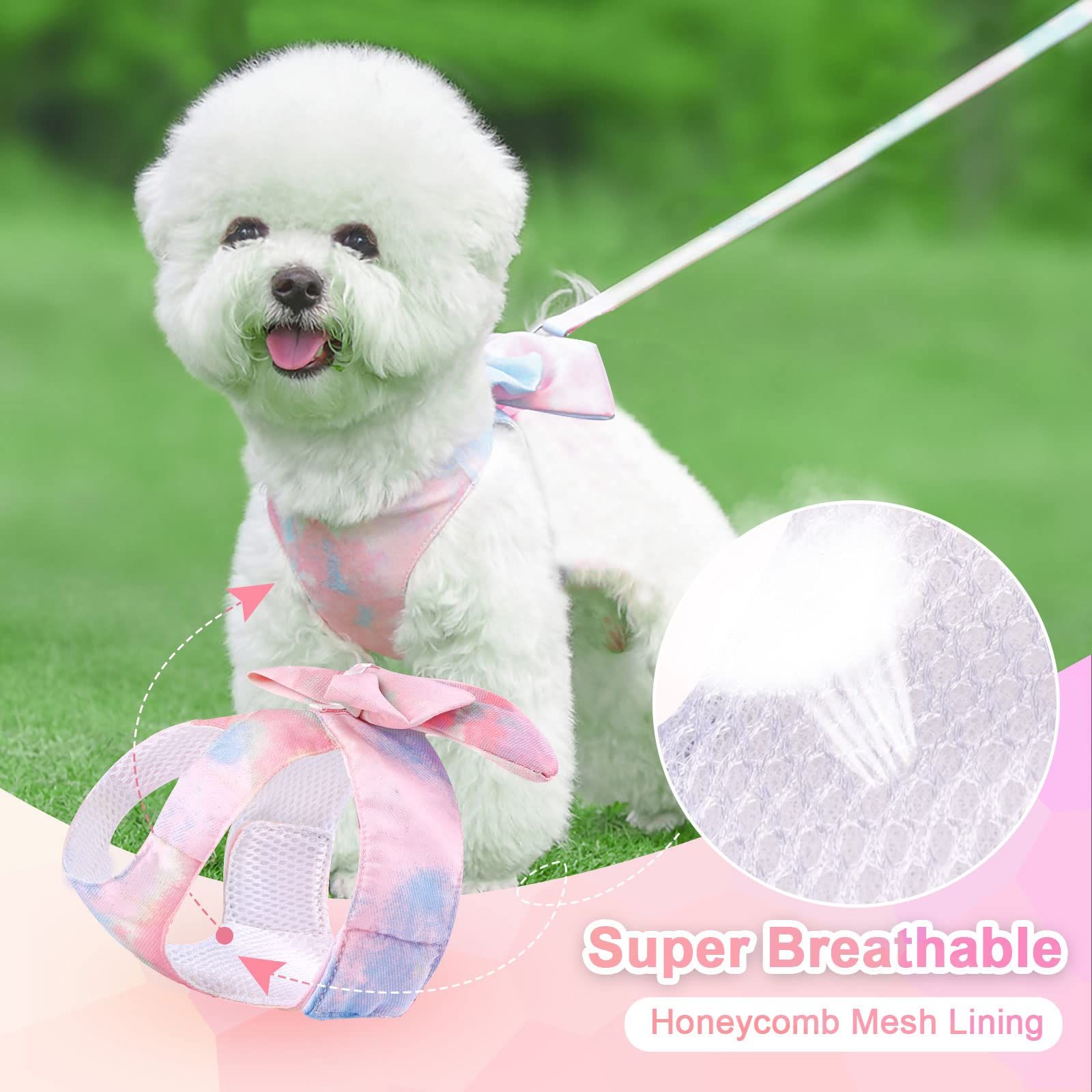 Cute Bow Tie Dog Harness and Leash Set Elegant Rainbow Gradient Puppy Harness view 5
