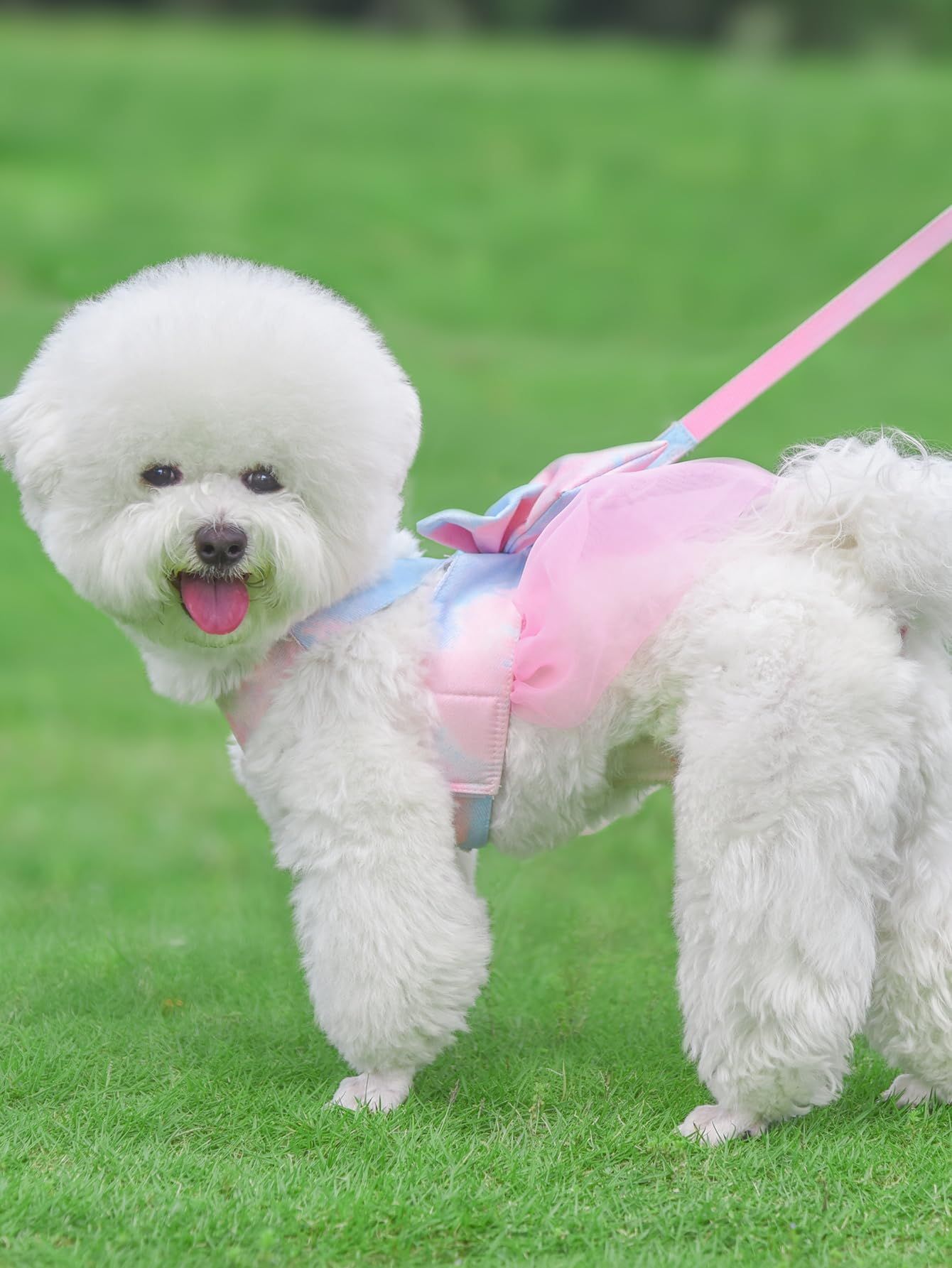 Tie-dye Dog Harness and Leash Set Bow Decor Puppy Cat Harness with Leash Soft view 2