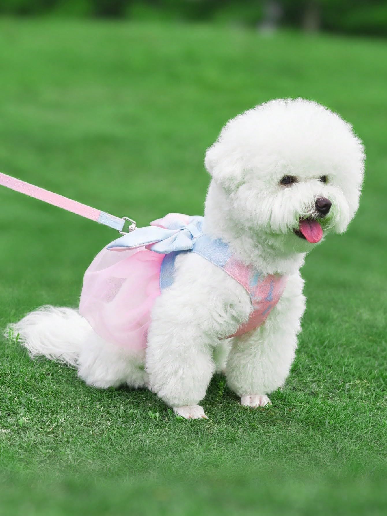 Tie-dye Dog Harness and Leash Set Bow Decor Puppy Cat Harness with Leash Soft view 3
