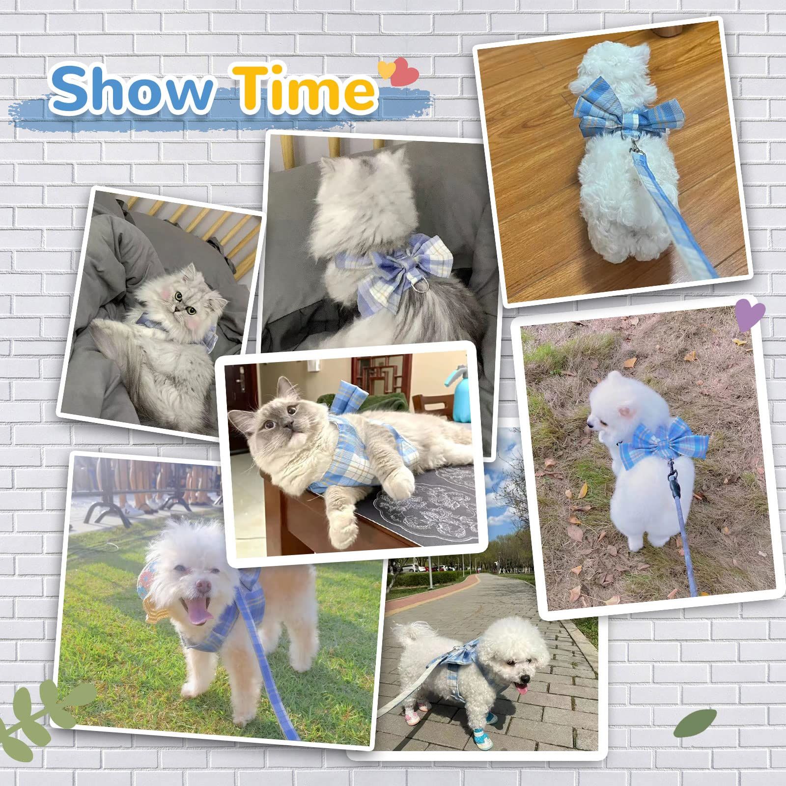Dog Harness Small Sized Dog Dog Leash cat Harness and Leash Dog Leash for view 3