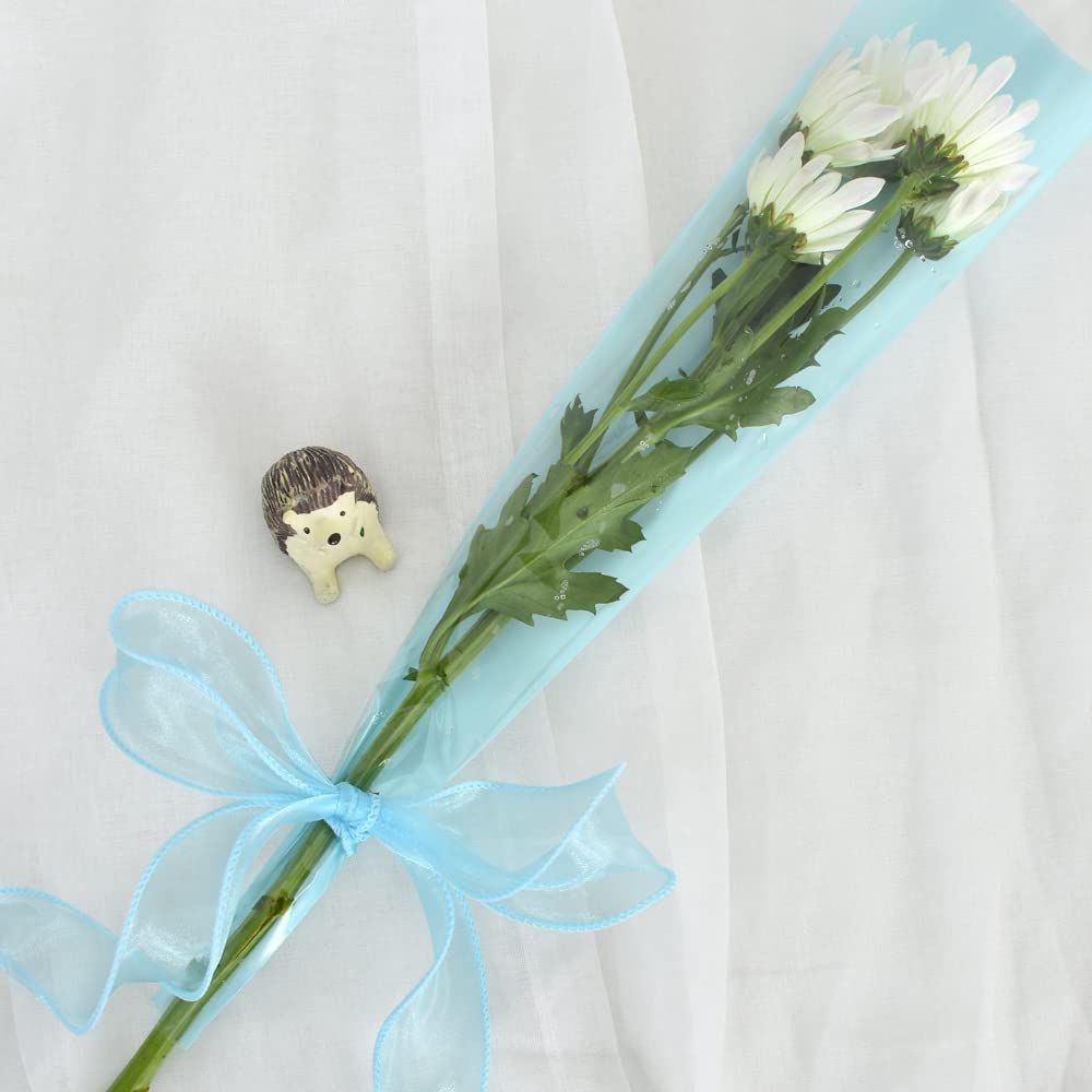 Light Sky Blue Wired Chiffon Ribbon Sheer Ribbons for Crafts Floral Bouquets view 3