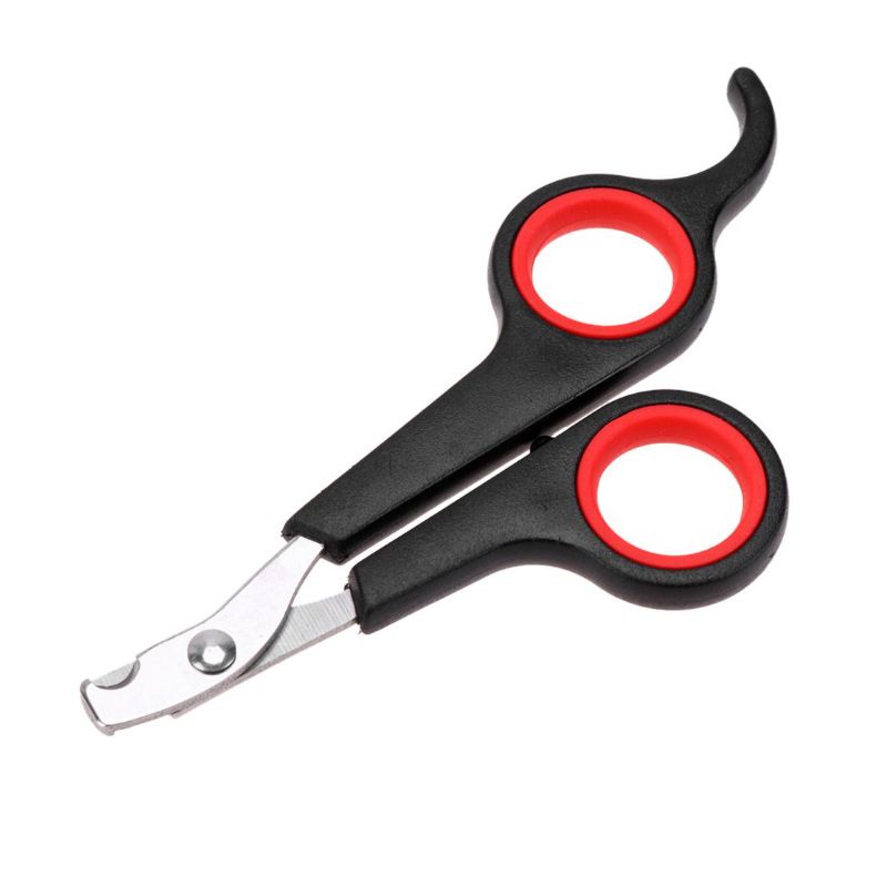 Grooming Tool Nail Scissors Pet Bird Parrot Small Animals Accessory for Small