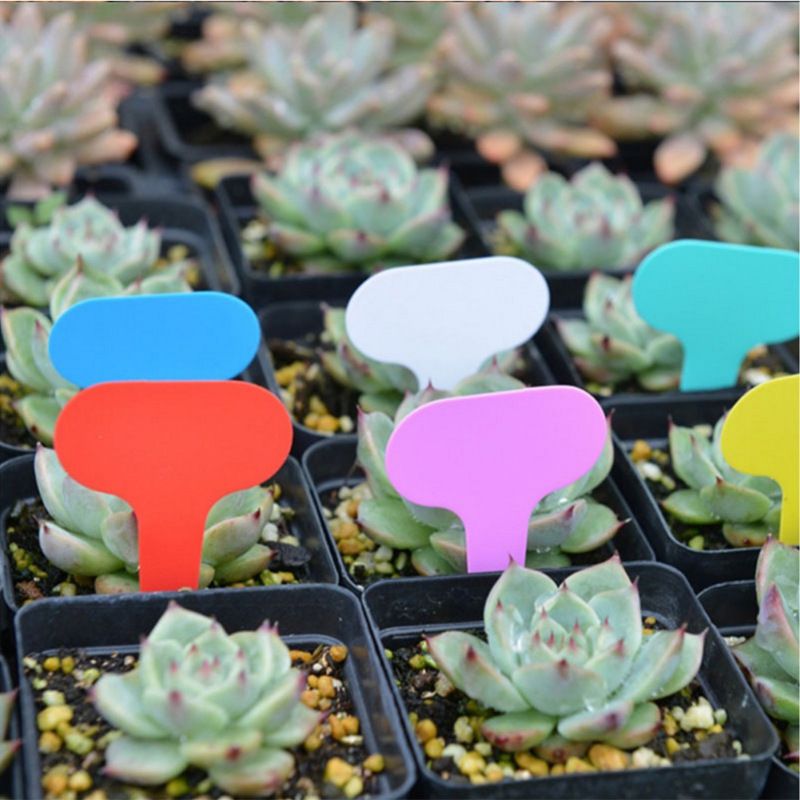 Tabs 600pcs Printable Labels Plastic Tags Green Plants Lables Plant Name Tags view 3
