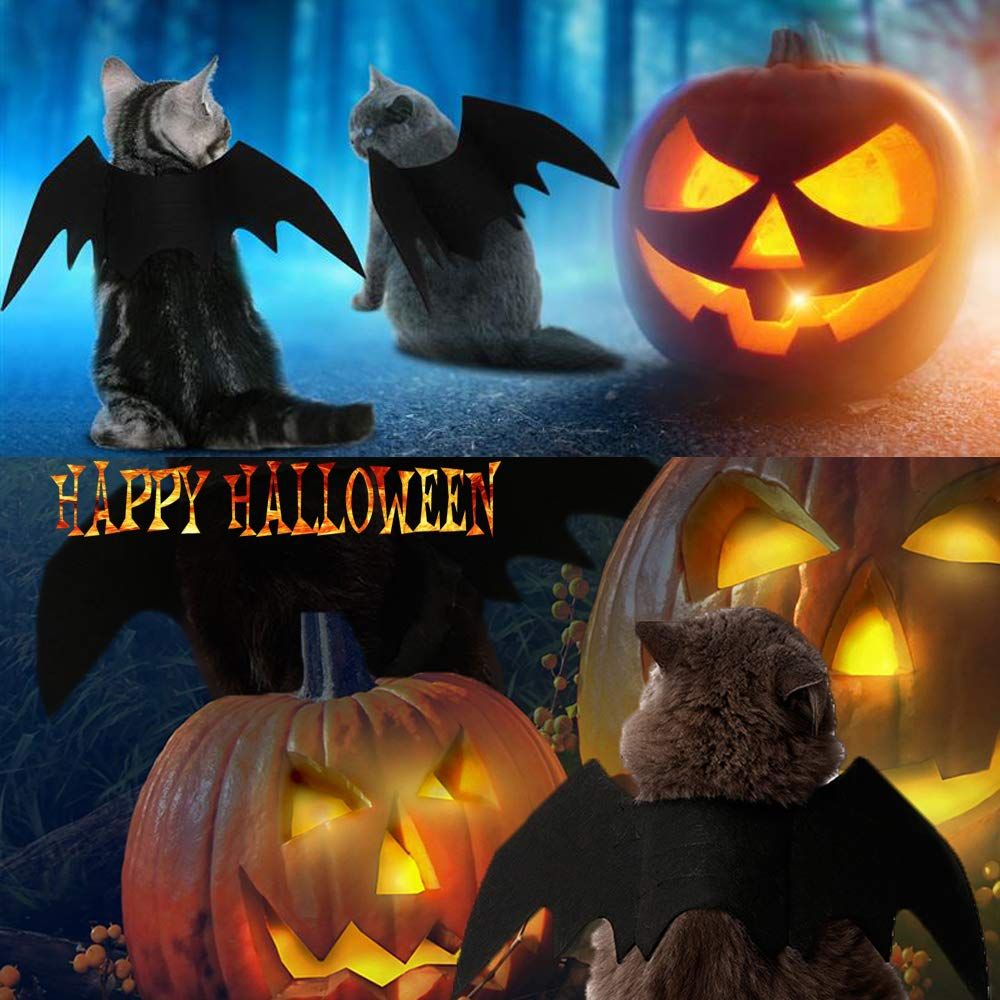 Pet Cat Bat Wings for Halloween Party Decoration view 4