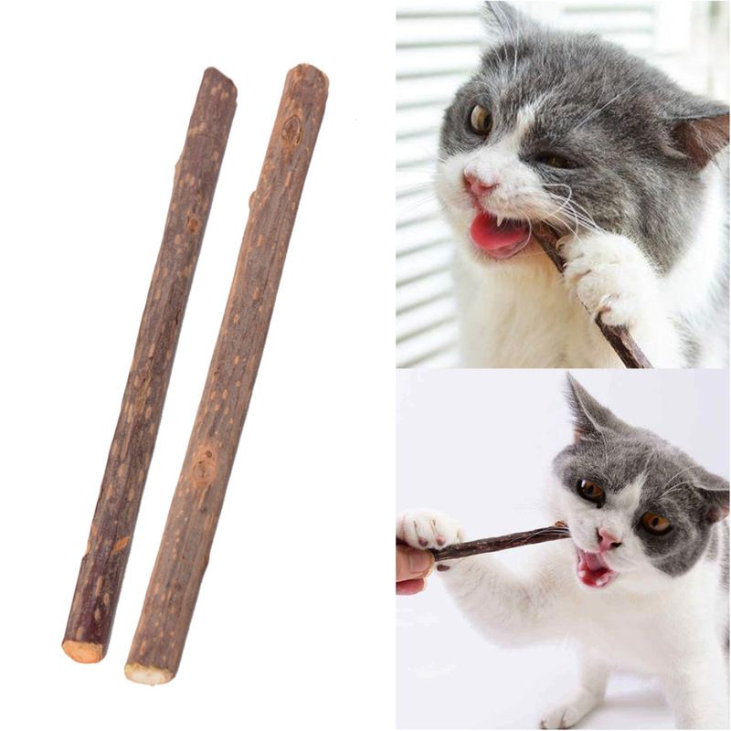 Cat Chew Stick, Silvervine Sticks for Cats, Catnip Toys, Cleaning Teeth Toy view 3