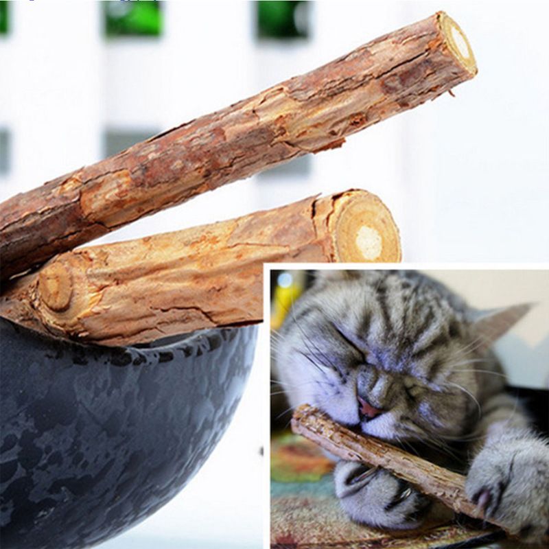 Cat Chew Stick, Silvervine Sticks for Cats, Catnip Toys, Cleaning Teeth Toy view 4