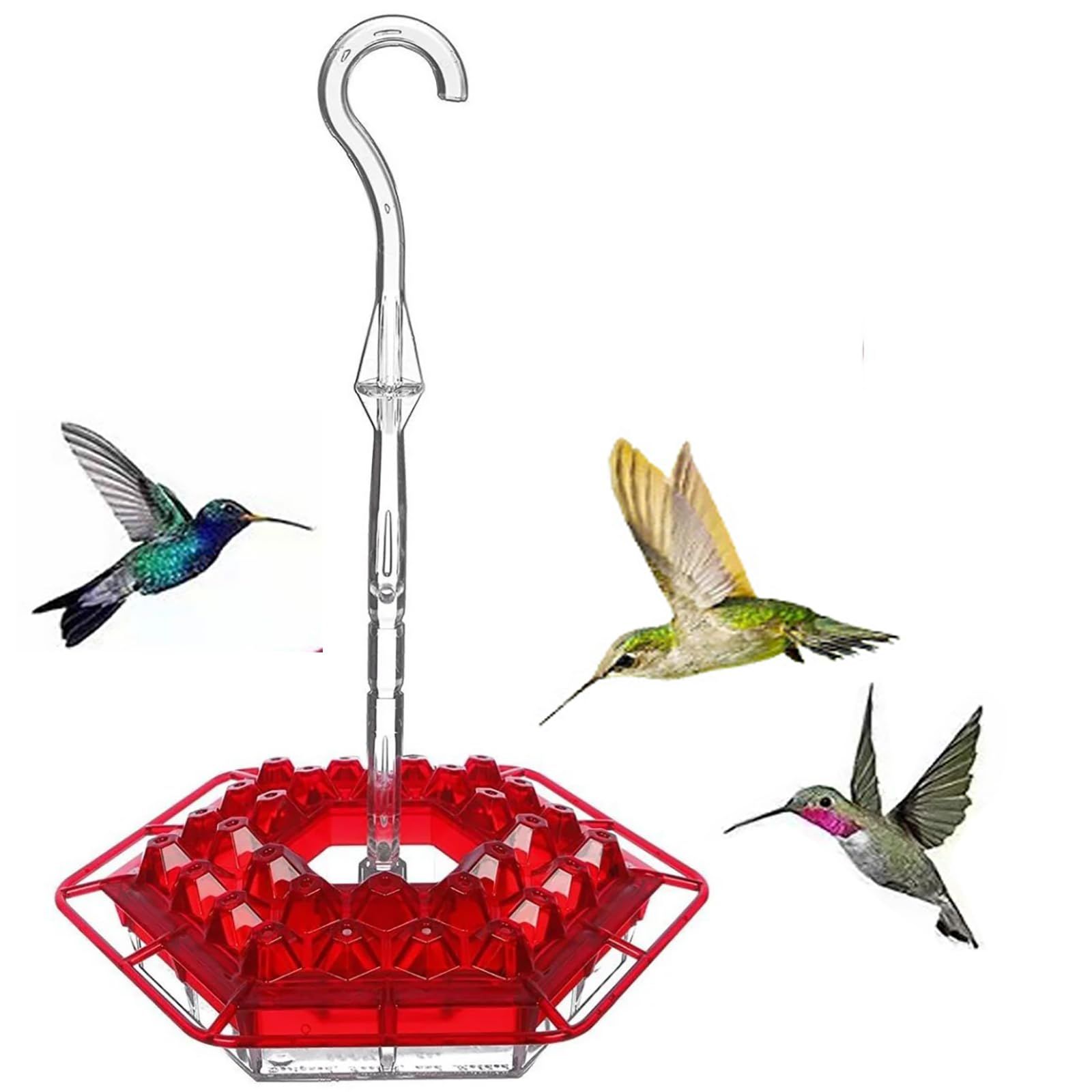 Feeder with and Built-in Ant Moat view 4