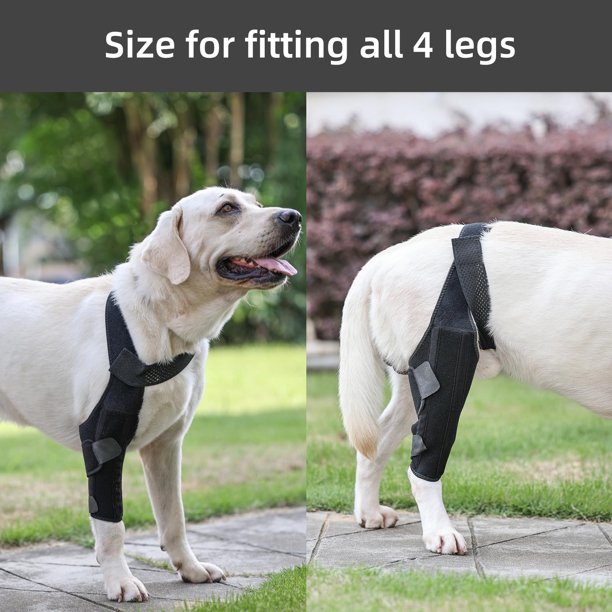 Dog Knee Brace for Support with Cruciate Ligament Injury view 2