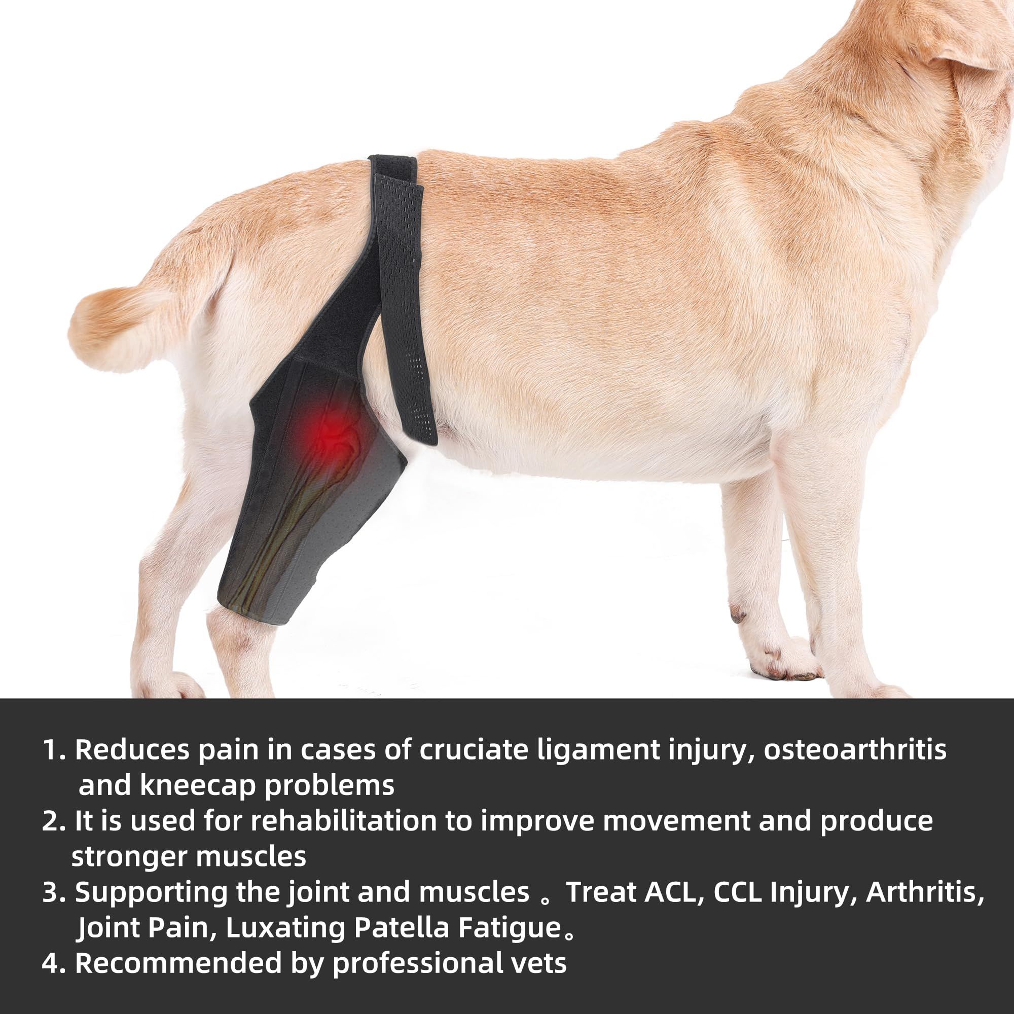 Dog Knee Brace for Support with Cruciate Ligament Injury view 4