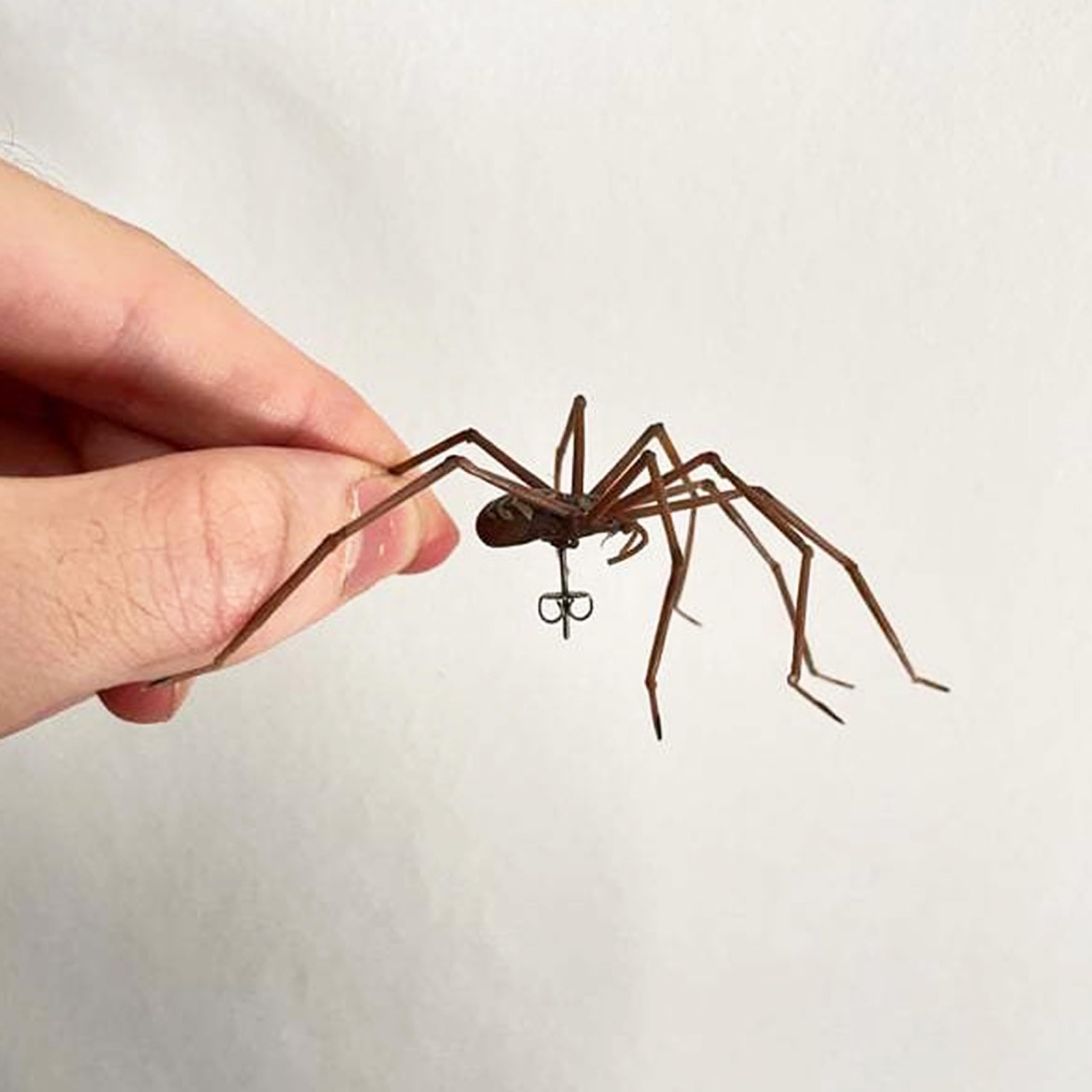 Earrings Realistic for Men April Fool's Day Funny Jewelry Spider Party Favors view 2