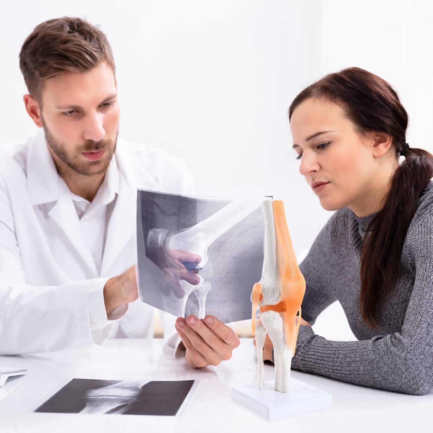 Anatomical Medical Knee Joint with Ligaments Model view 5