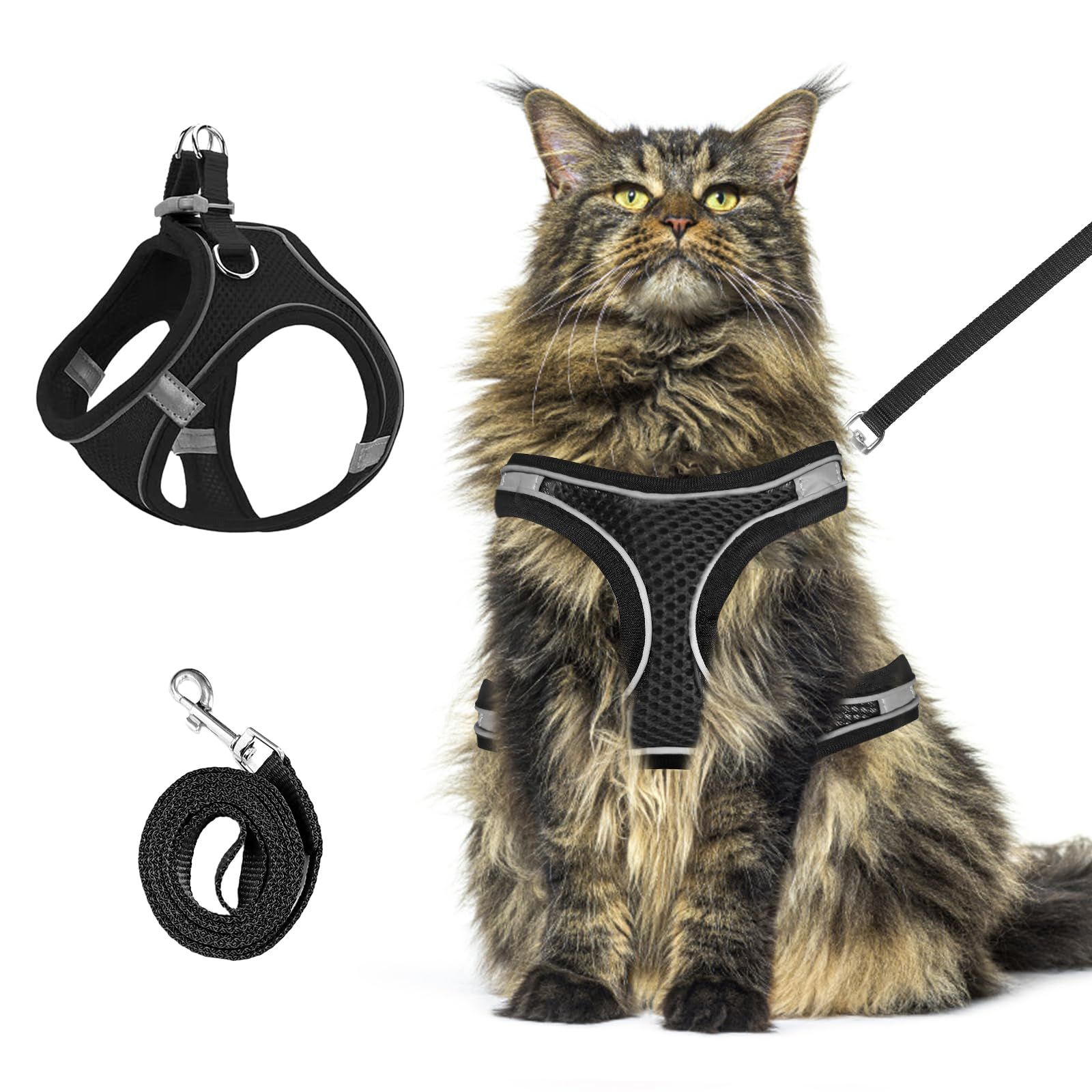 cat Walking Chest Carrier and Leash