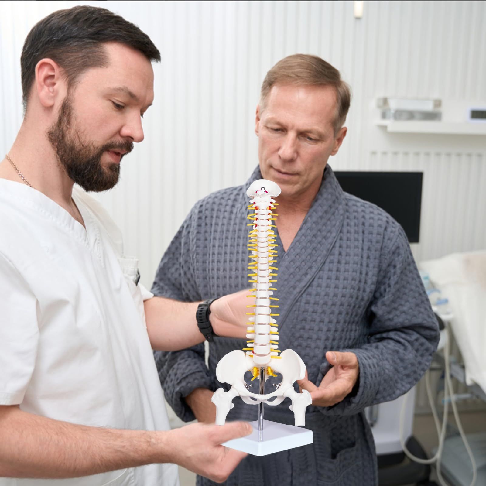 Mini Human Spine Model for Kids view 5