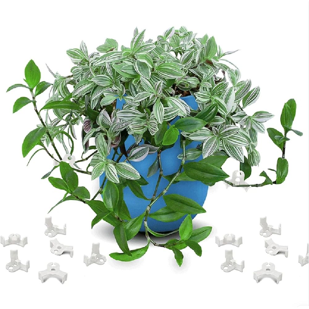 20 PCS Low-Pressure Plant Training Clip view 4