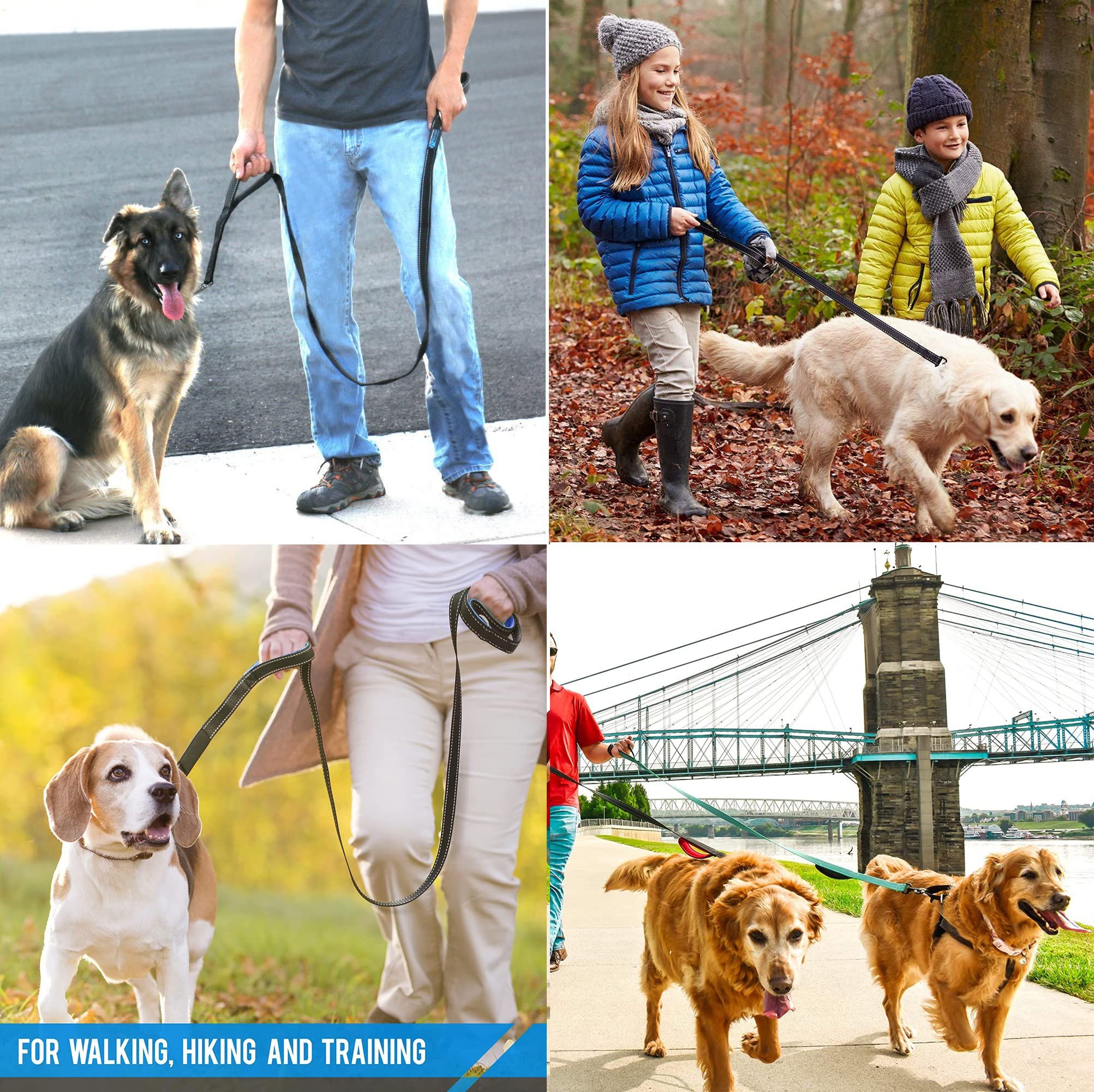 Heavy Duty Dog Leash - 2 Handles by Padded Traffic Handle for Extra Control view 5