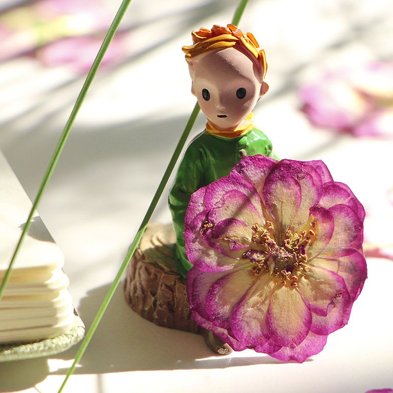 Large Purple Dried Pressed Flower for Resin view 4