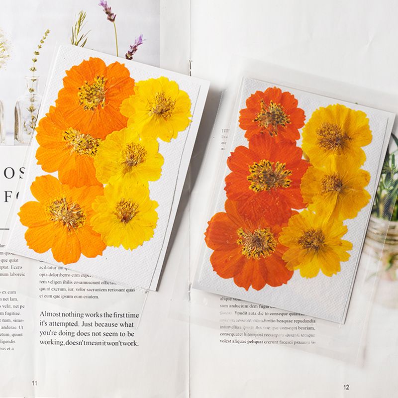 Dried Pressed Flowers for Resin Molds view 2
