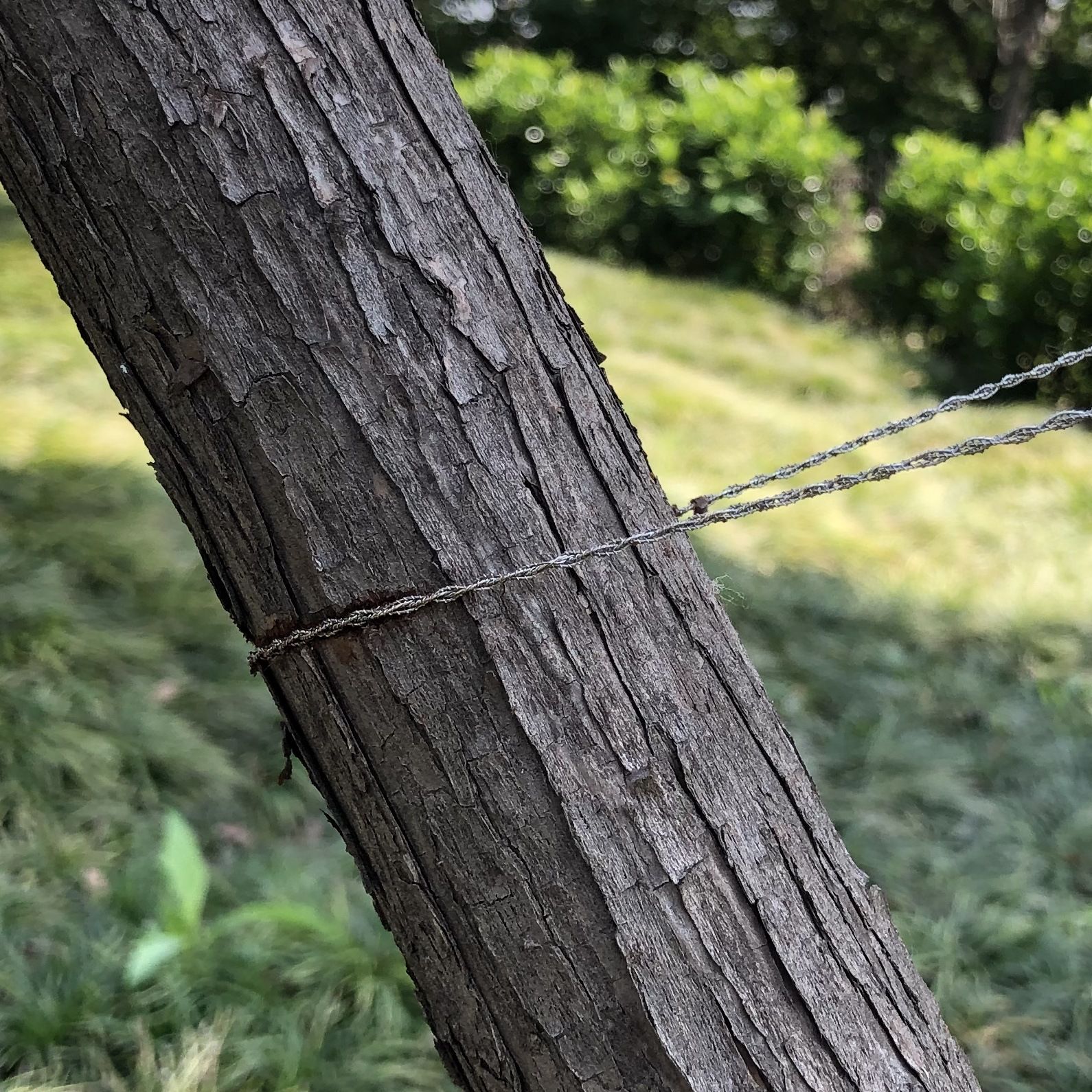 Pocket Chainsaw, Wire Saw, Rope Saw, Emergency Outdoor Survival Gear view 4
