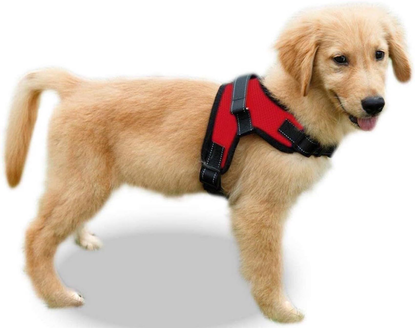 Dog Harness, No Pull Pet Vest, No Suffocation, Adjustable, Padded for Easy view 2