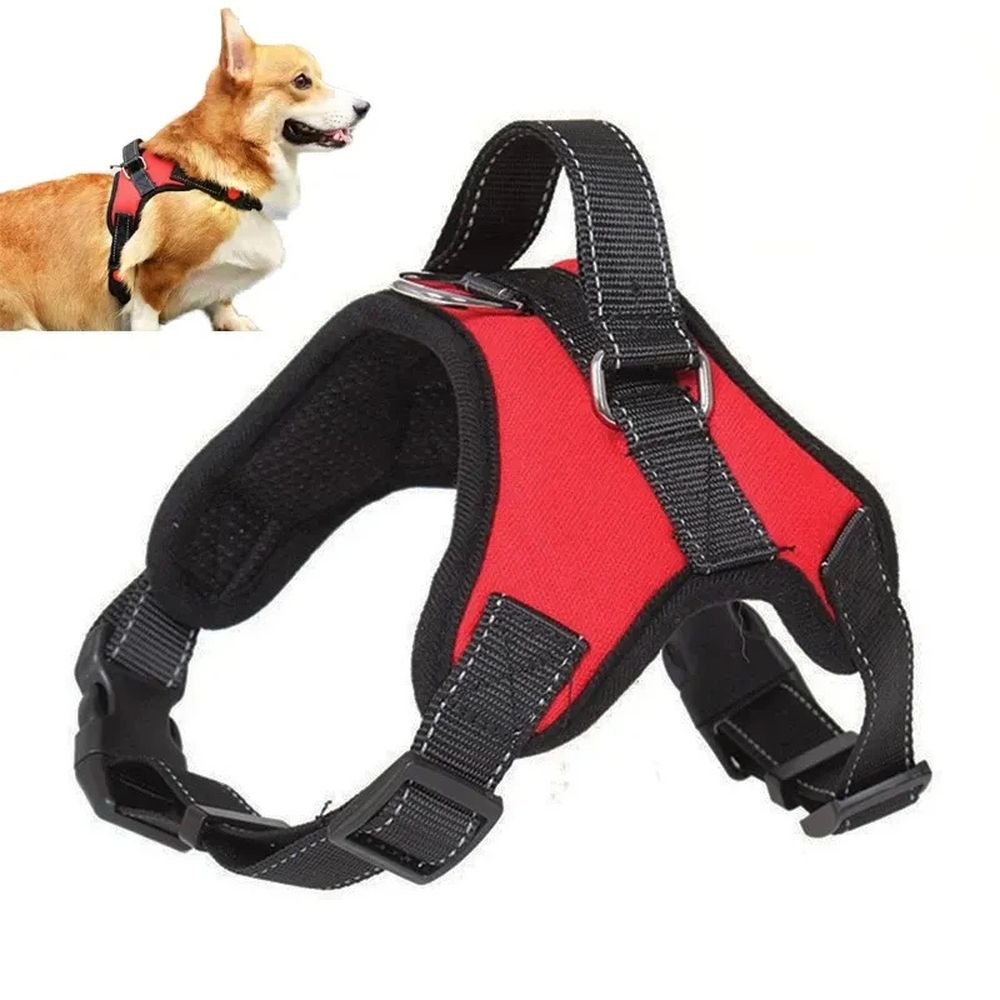 Dog Harness, No Pull Pet Vest, No Suffocation, Adjustable, Padded for Easy view 3