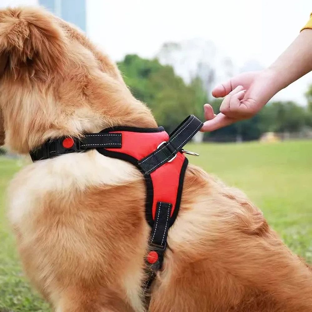 Dog Harness, No Pull Pet Vest, No Suffocation, Adjustable, Padded for Easy view 4