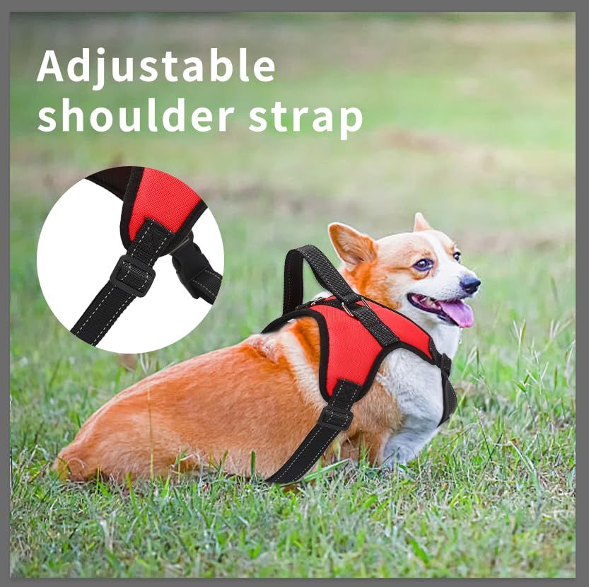 Dog Harness, No Pull Pet Vest, No Suffocation, Adjustable, Padded for Easy view 5