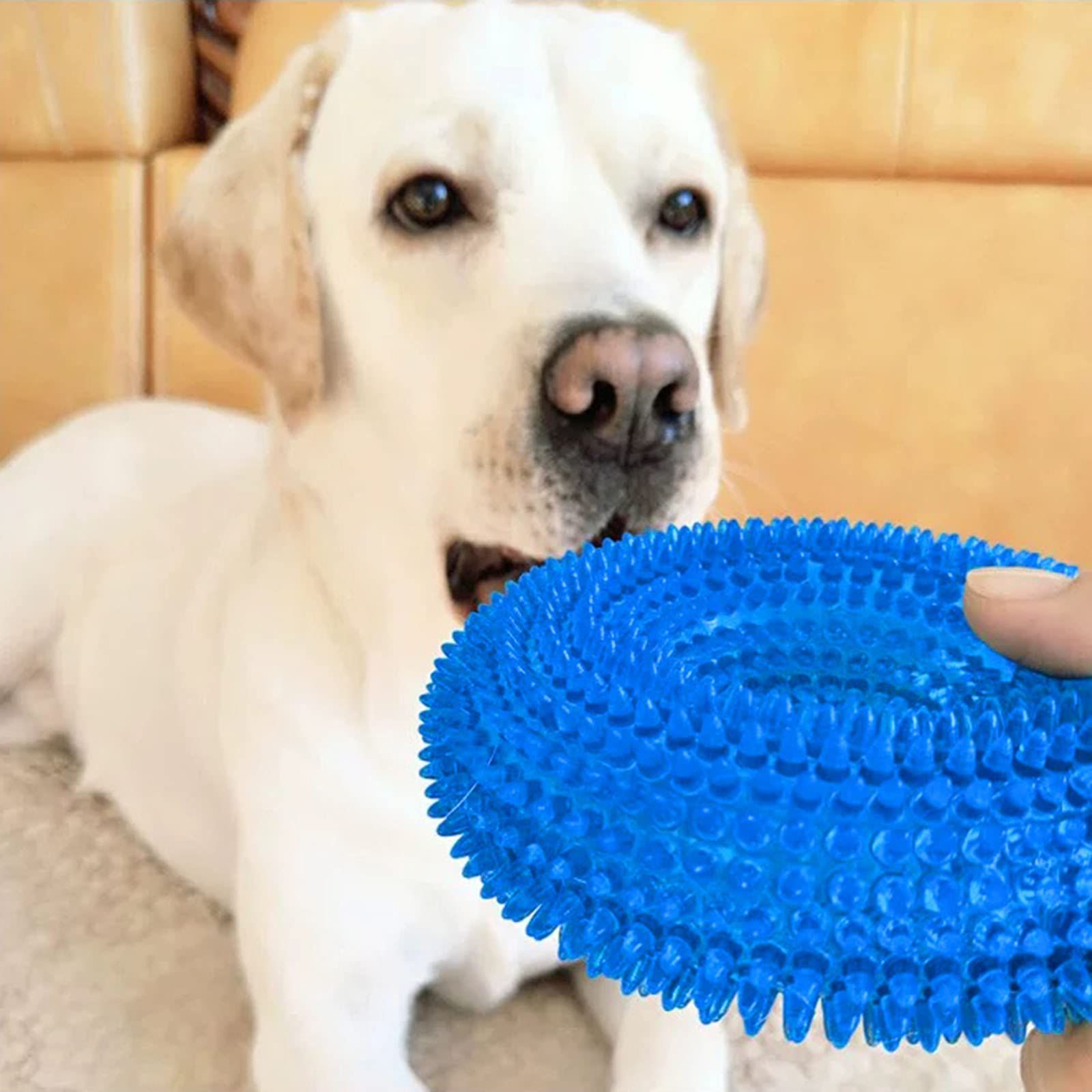 Toys for Aggressive Chewers Dental Cleaning [Non-Toxic Soft Natural Rubber] view 2