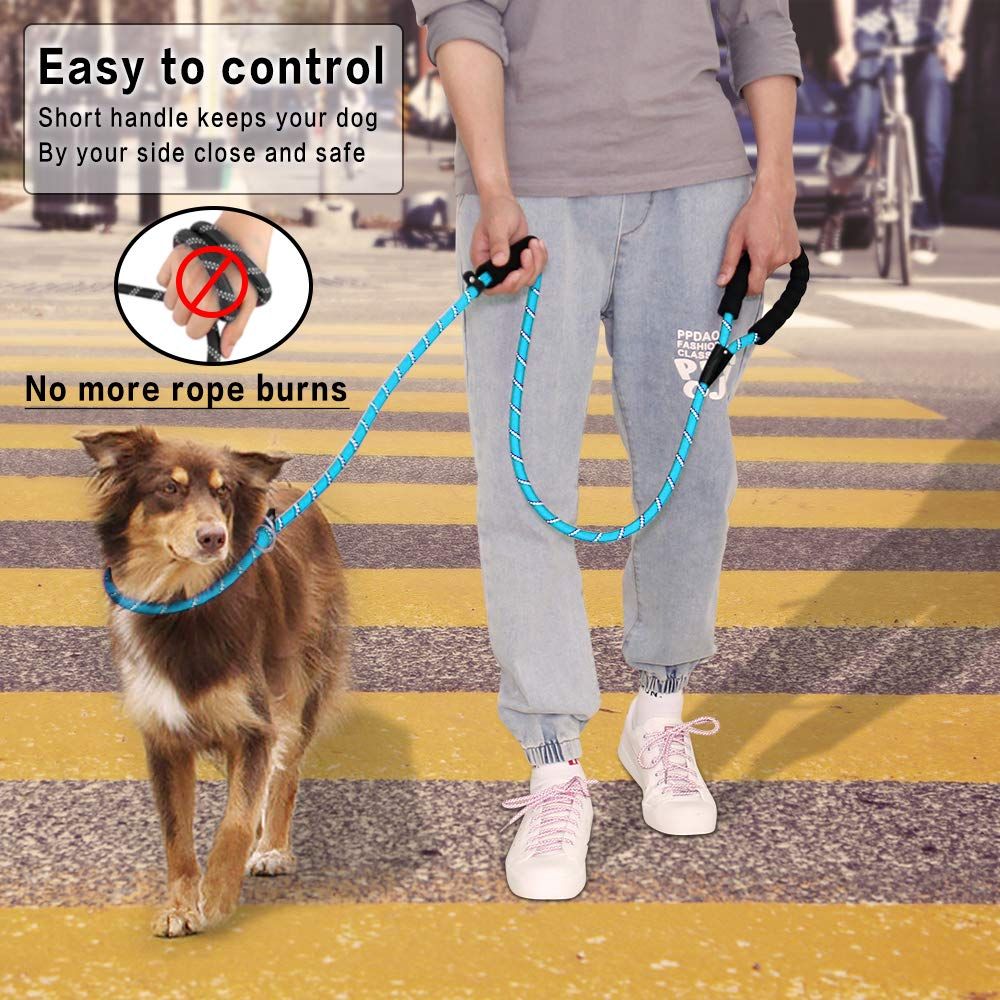 Leash Strong Rope Slip Leash Durable Walking Leash Reflective Pet Training view 5