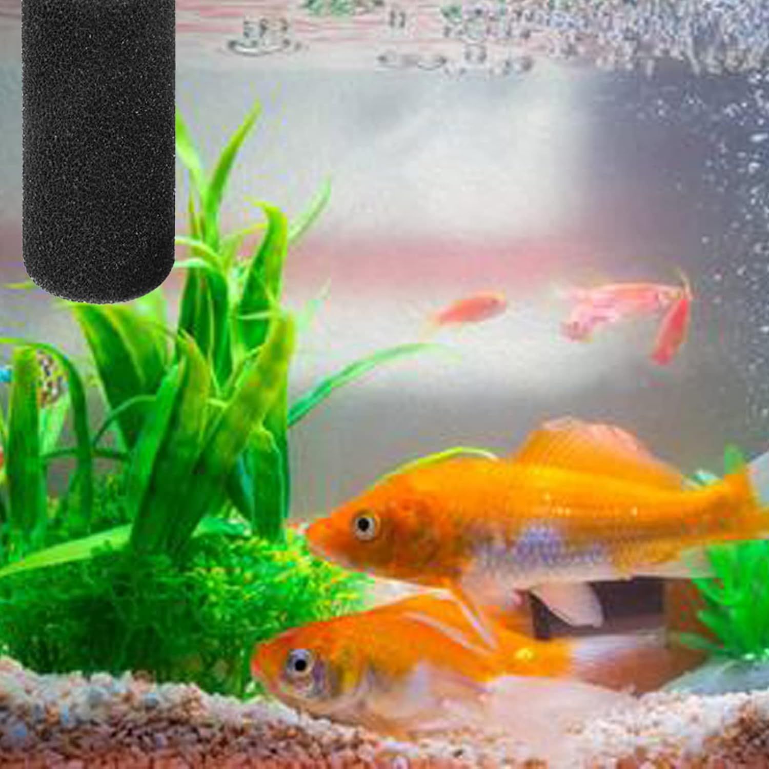 2-Pack Pre-Filter Sponge for Aquarium Shrimp Fry Fish Tank Filter Intake view 3