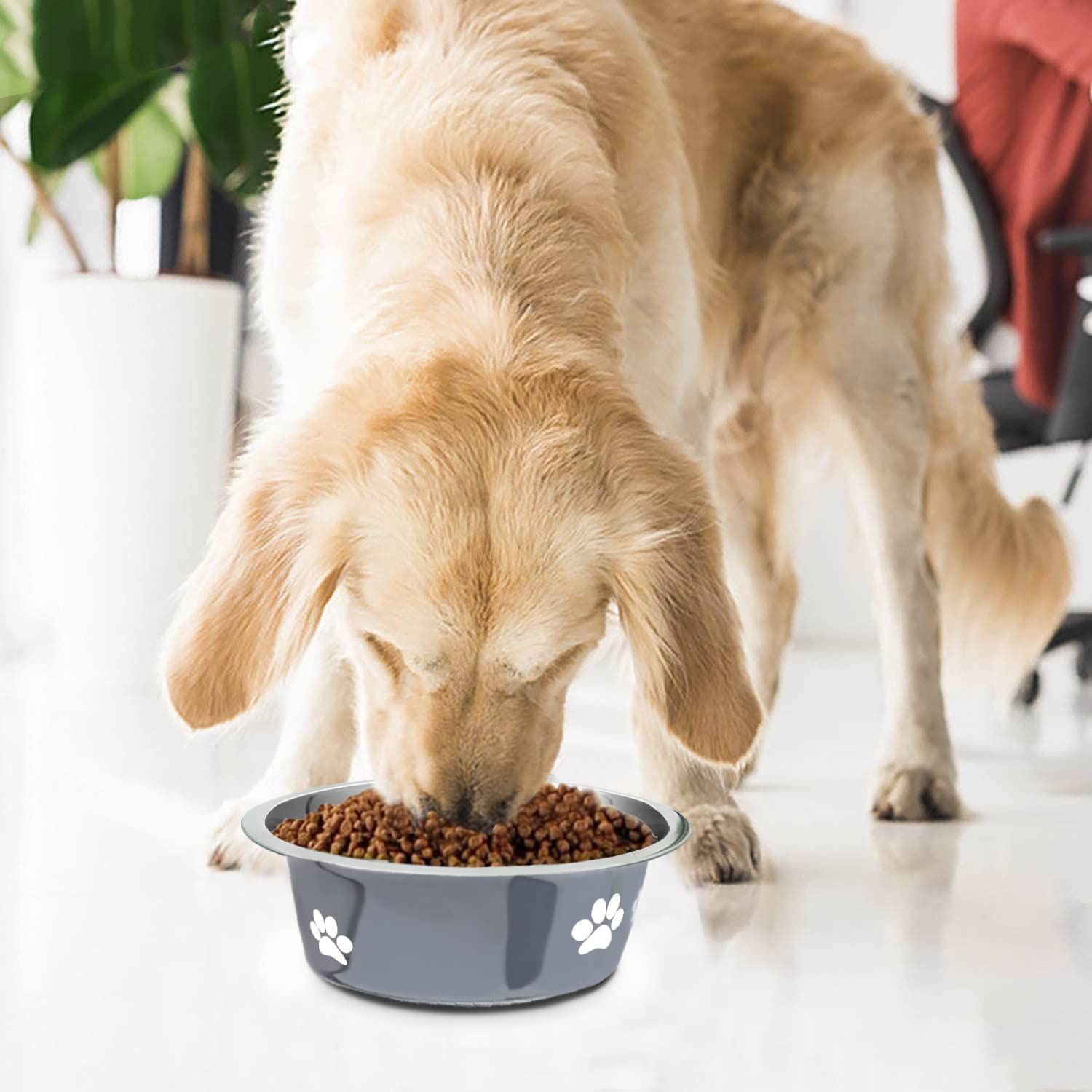 Stainless Steel Dog Bowls view 5