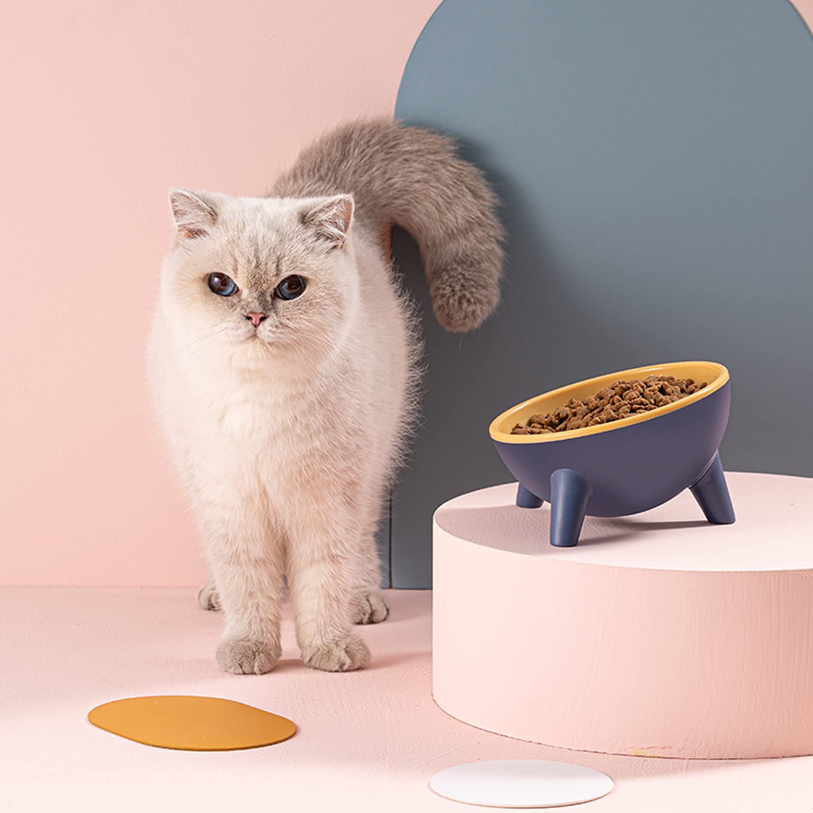 Tilted Cat Bowl Slanted Dog Bowl Non-Slip Raised Pet Food Bowl with Triangular view 2