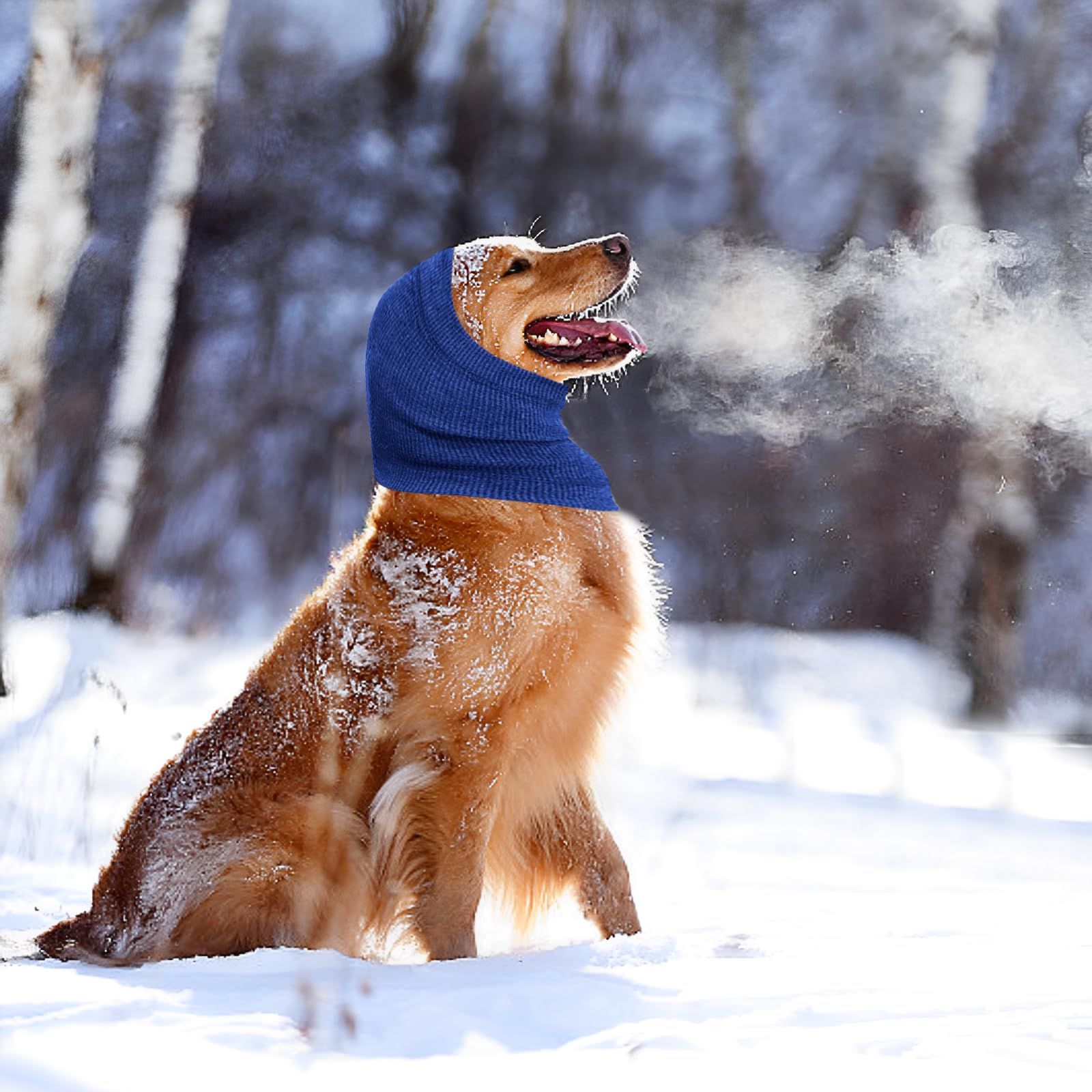 Quiet Ears for Dogs, Cat Dog Hoodies for Noise Block & Ear Protection and view 3