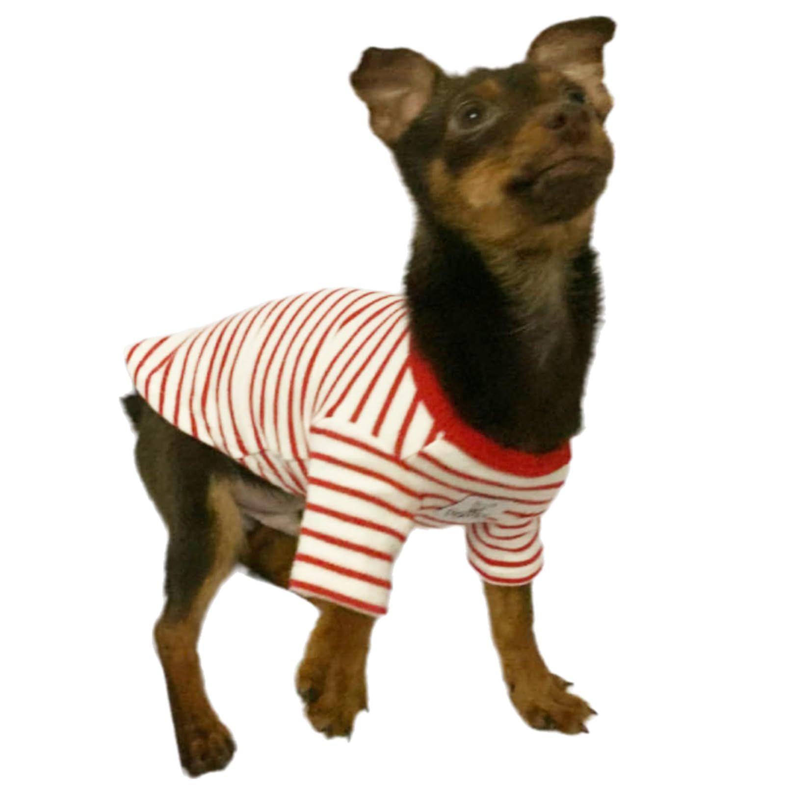Small Dogs and Cats Puppy Clothes Dog Apparel Teacup Dog Clothing for view 3