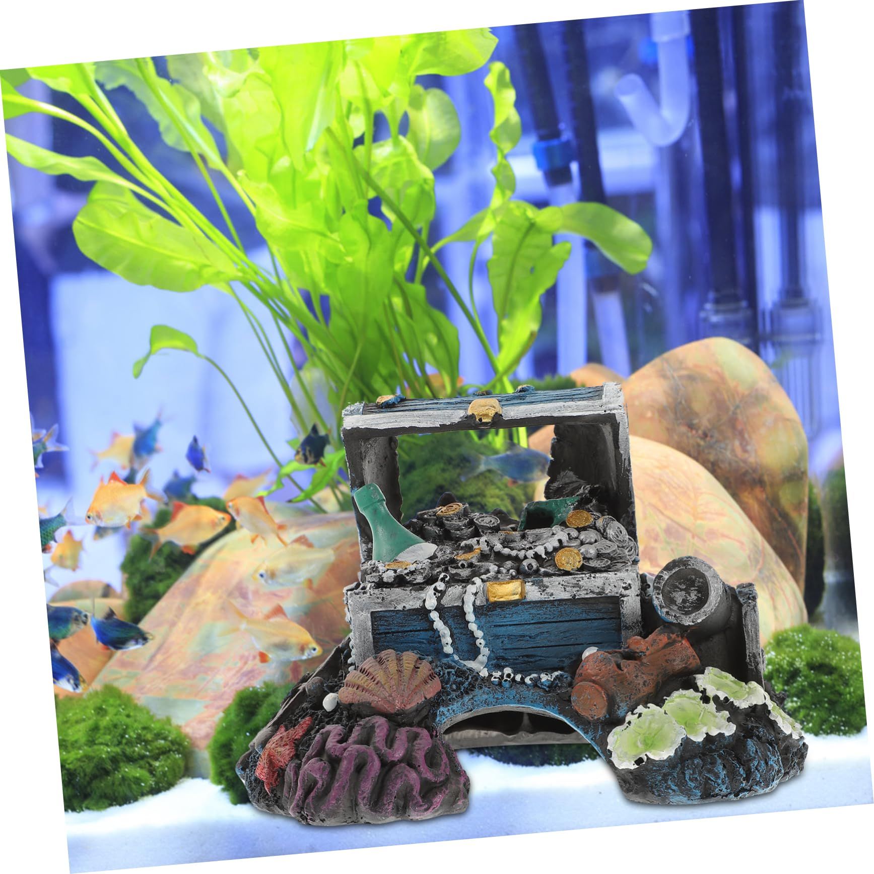 Treasure box aquarium/fish tank decoration view 5