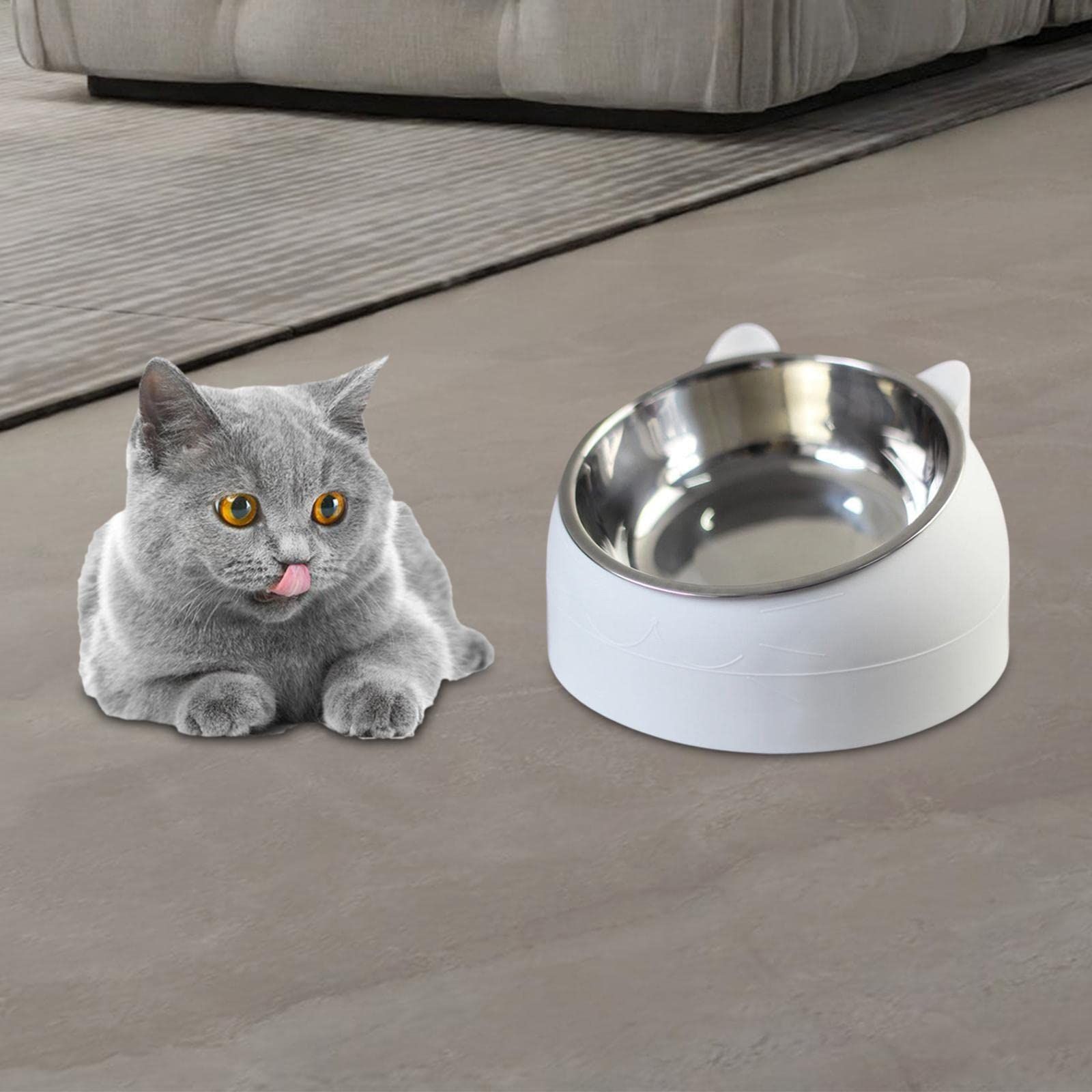 Pet Feeder Raised Water Food Feeder Stainless Steel Tilted Elevated Drinking view 4