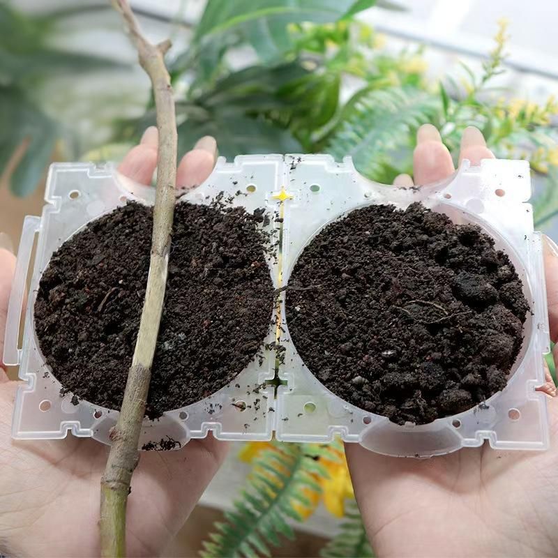 5Pcs Plant Root Growing Box Propagation Ball Reusable Grafting Device Garden view 4