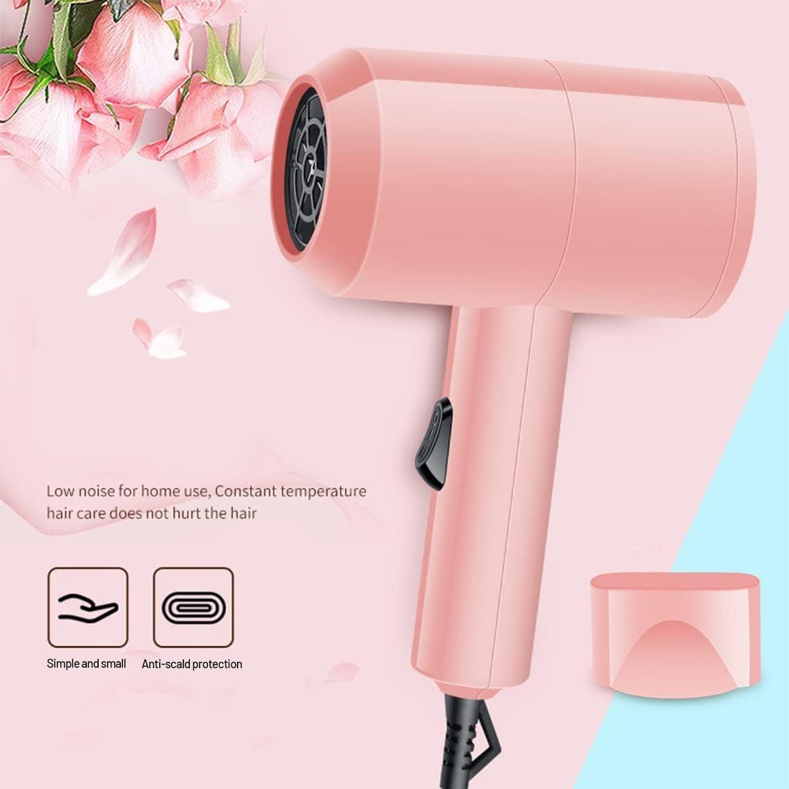 Professional Hair Dryer Electric Dryer Hair Hammer Hairdryer Blow Quick Dry view 3