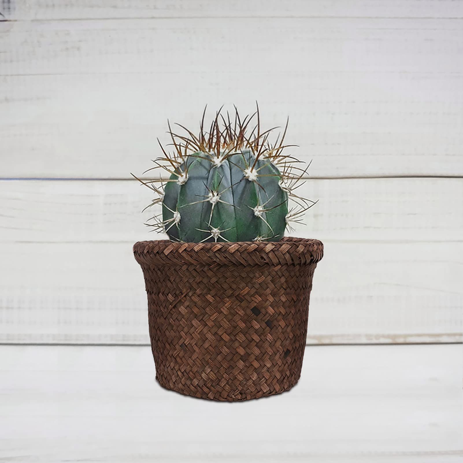 Seagrass Planter Basket Indoor view 2